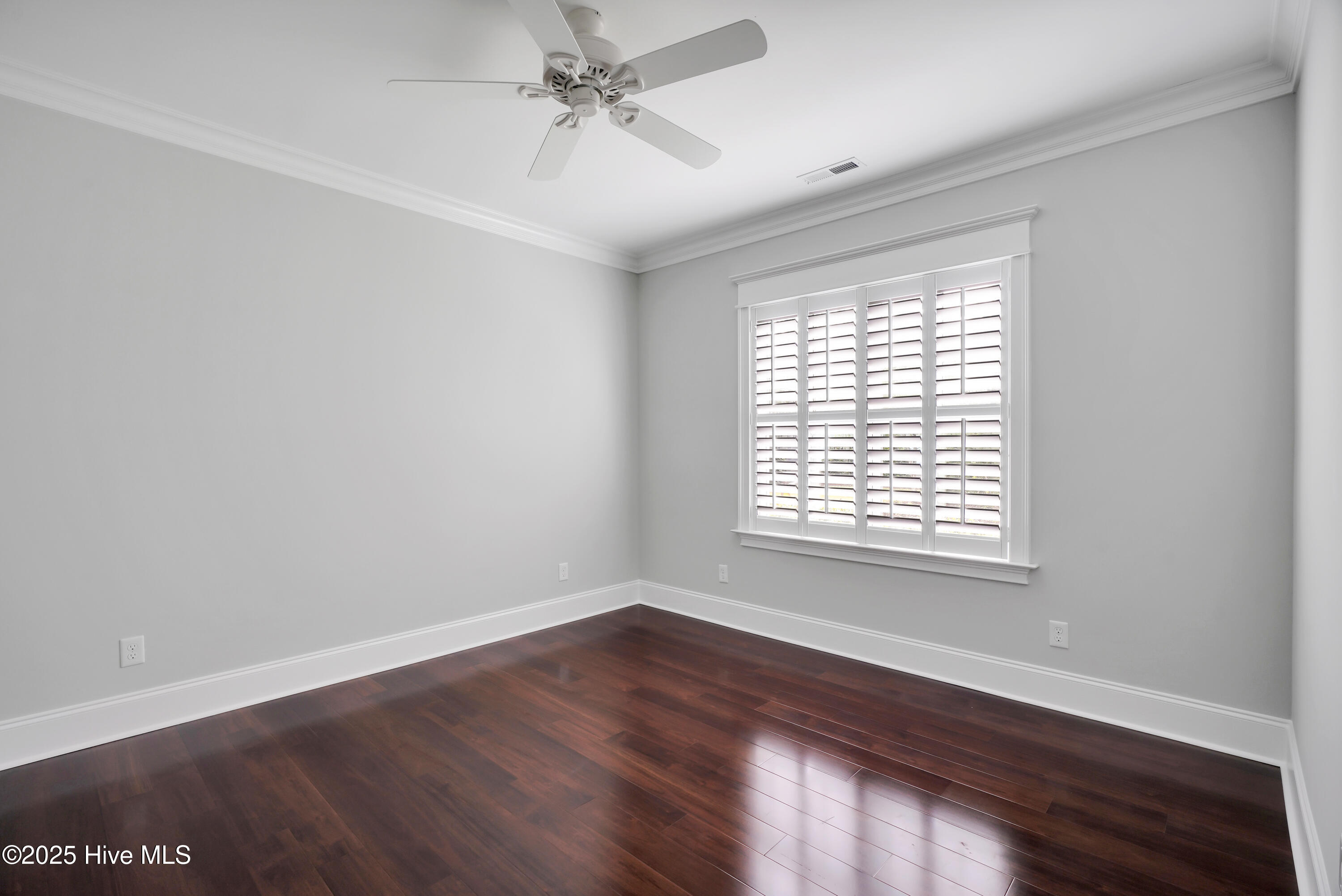 100524954 | Photo 17