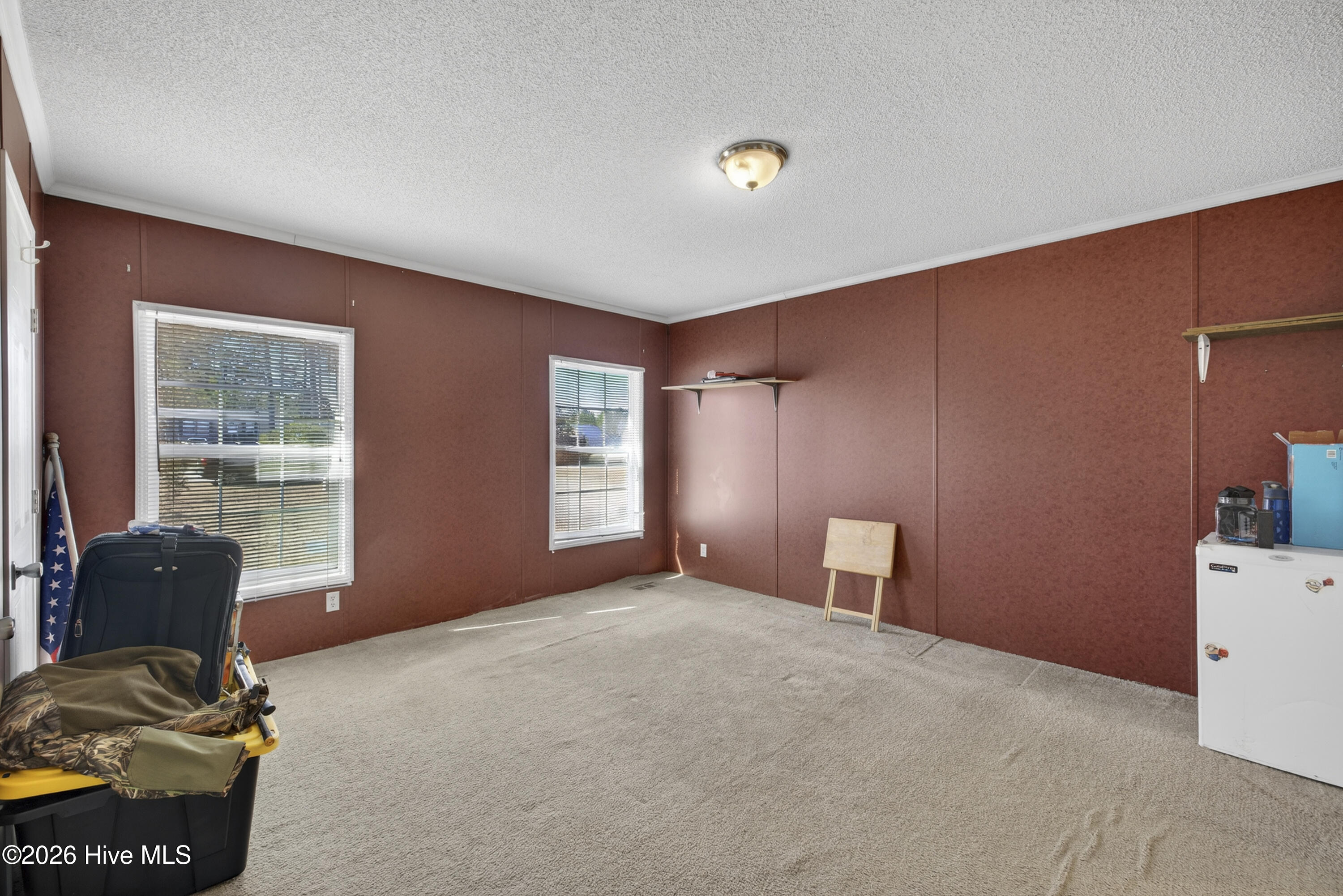 100553499 | Photo 11