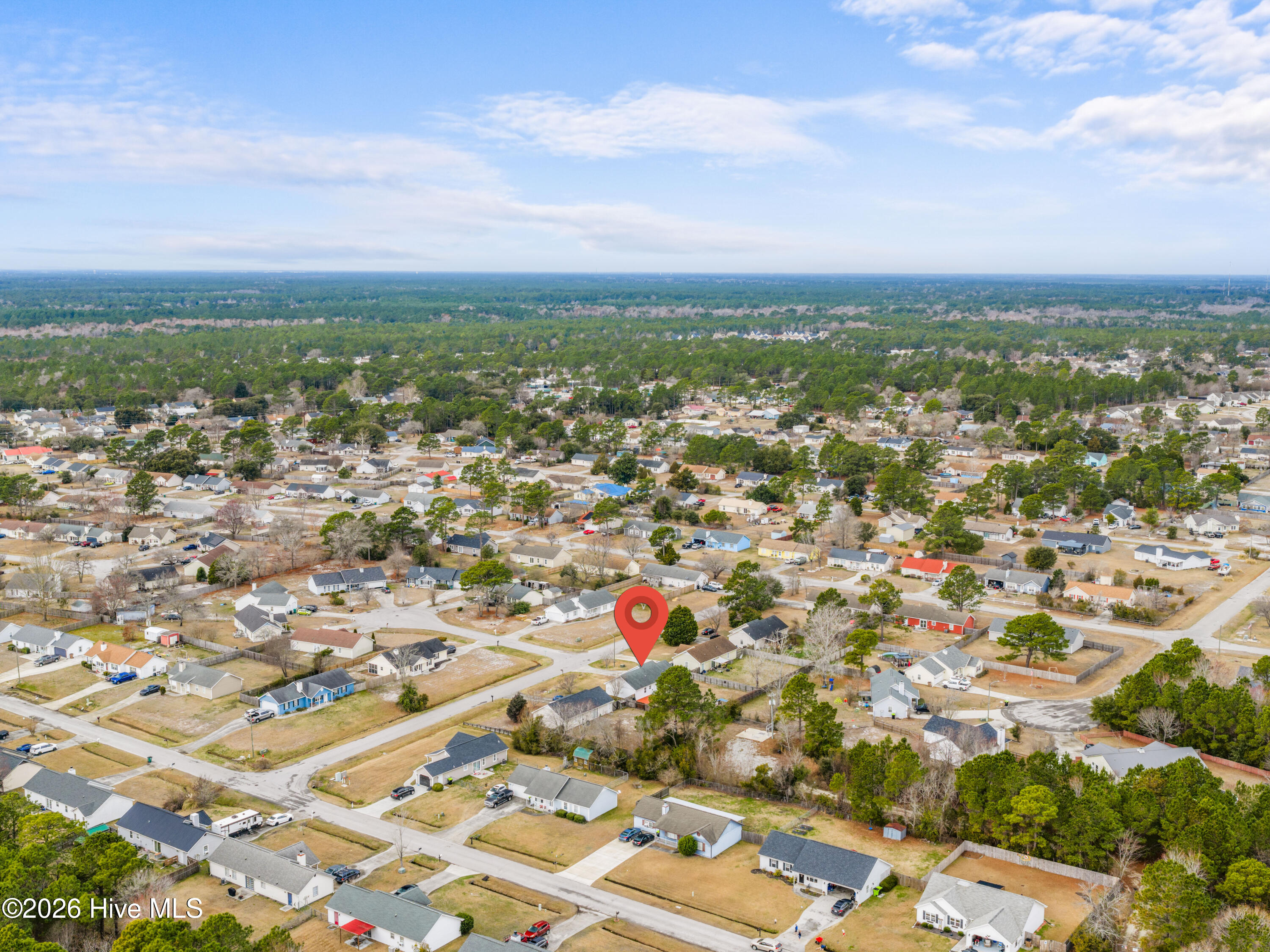 100556081 | Photo 38