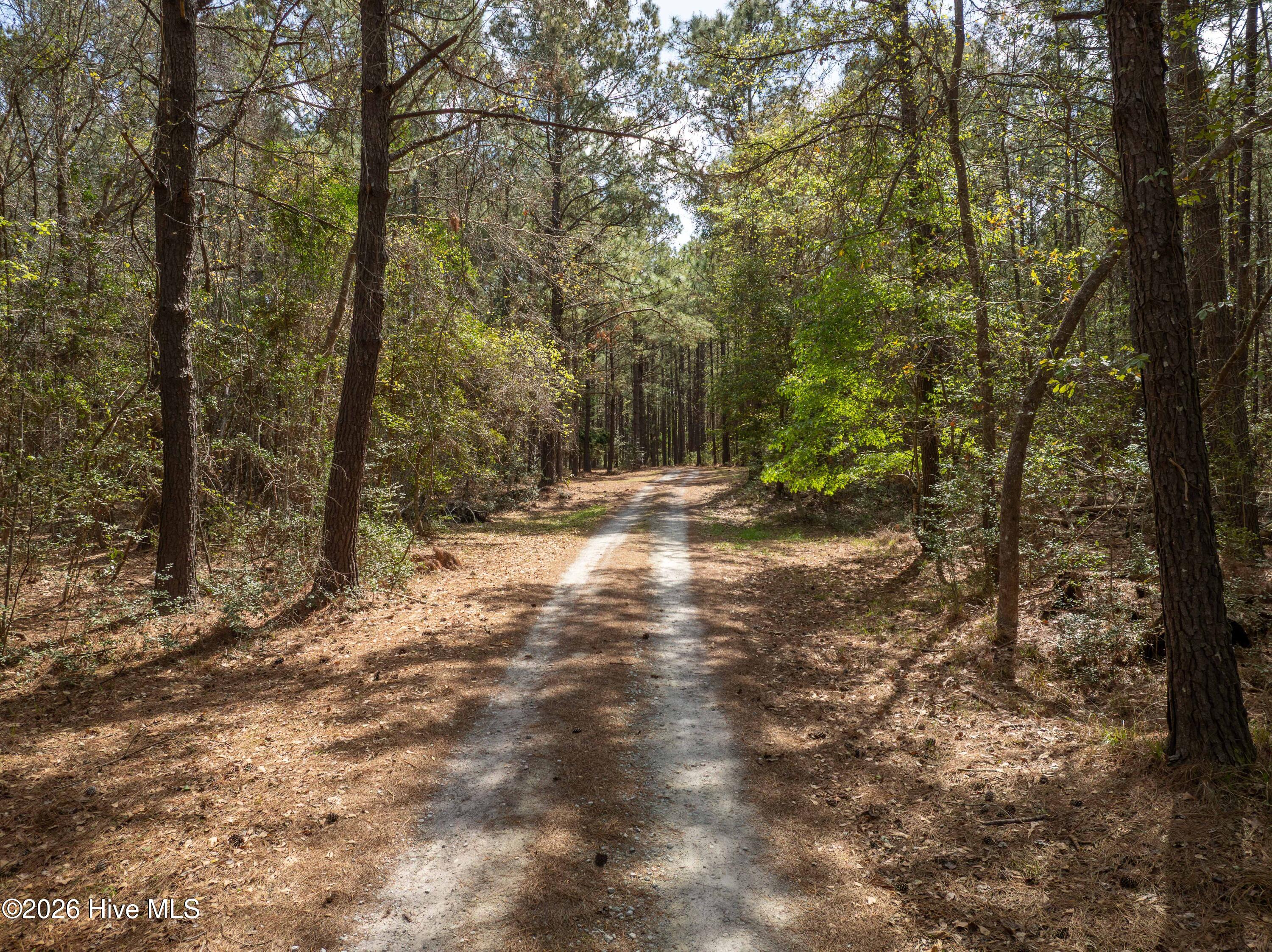 100564032 | Photo 29