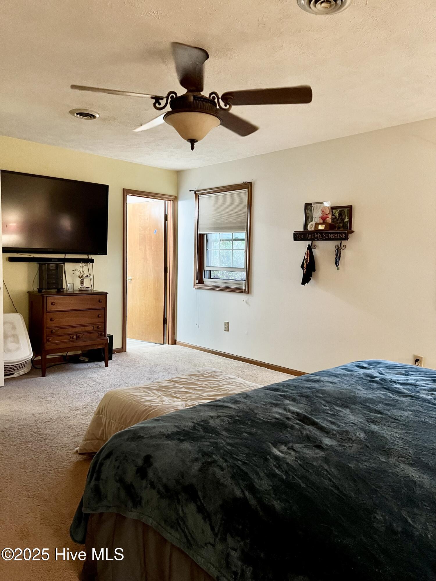 100524806 | Photo 27