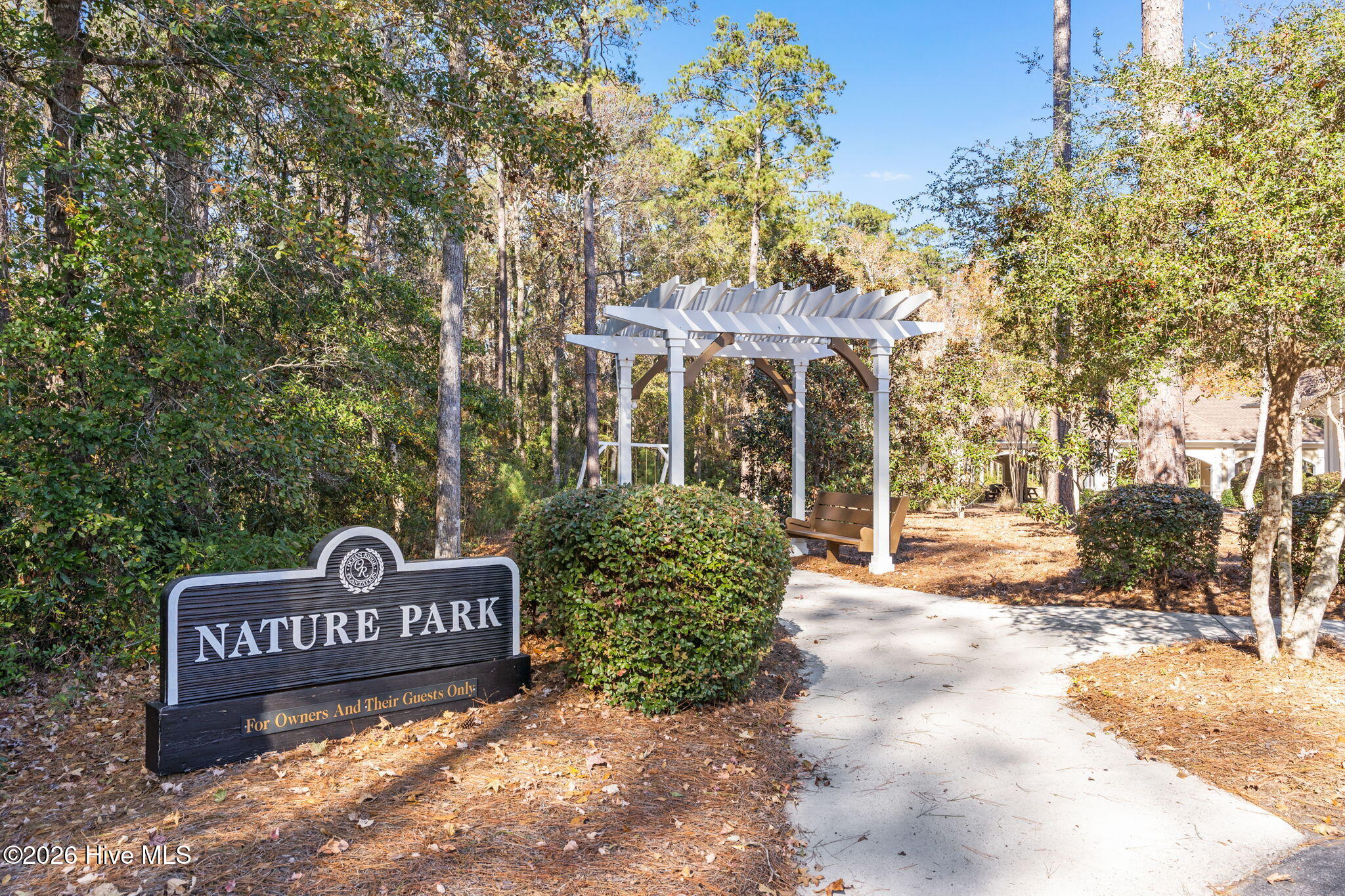 100564967 | Photo 80