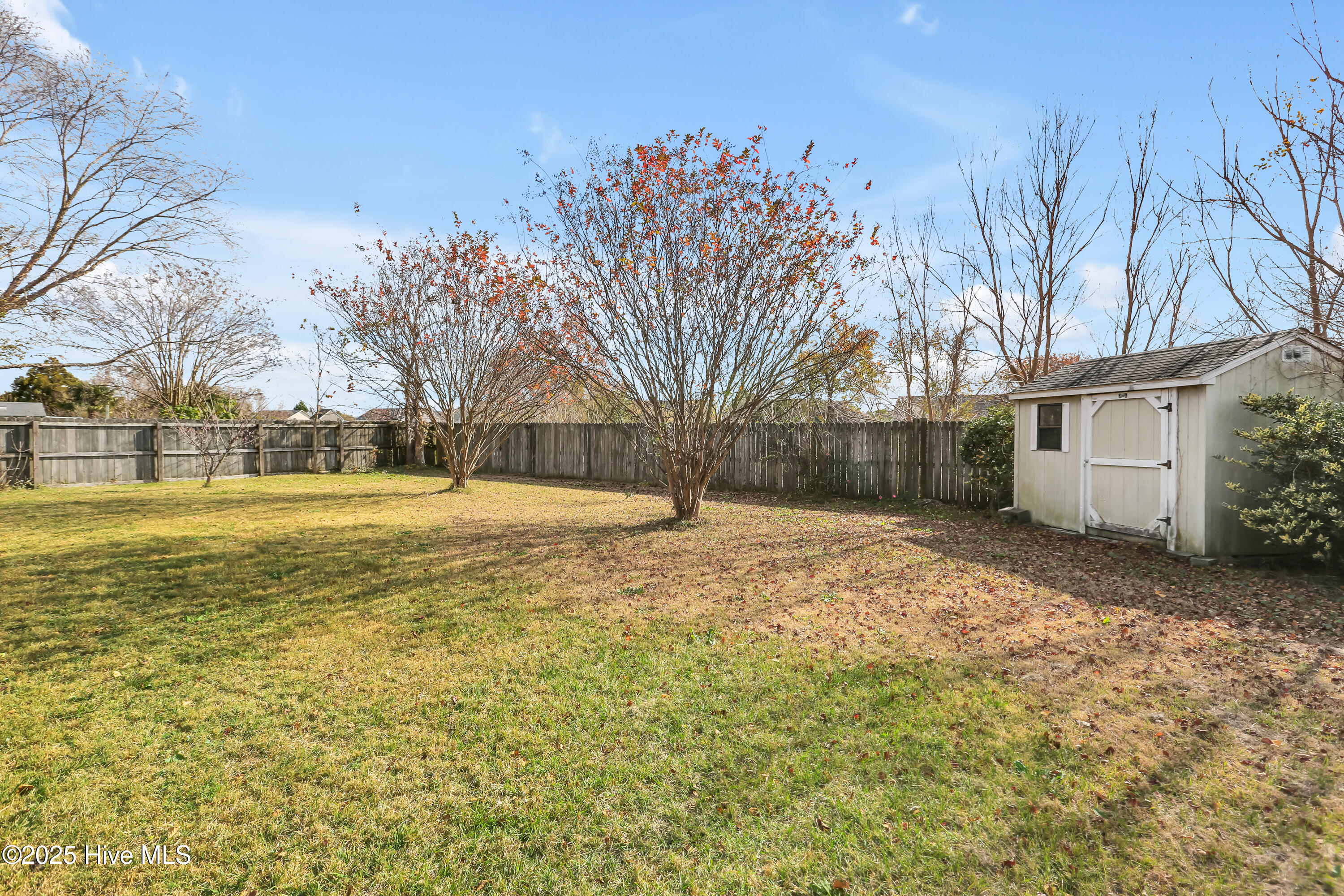 100544452 | Photo 32