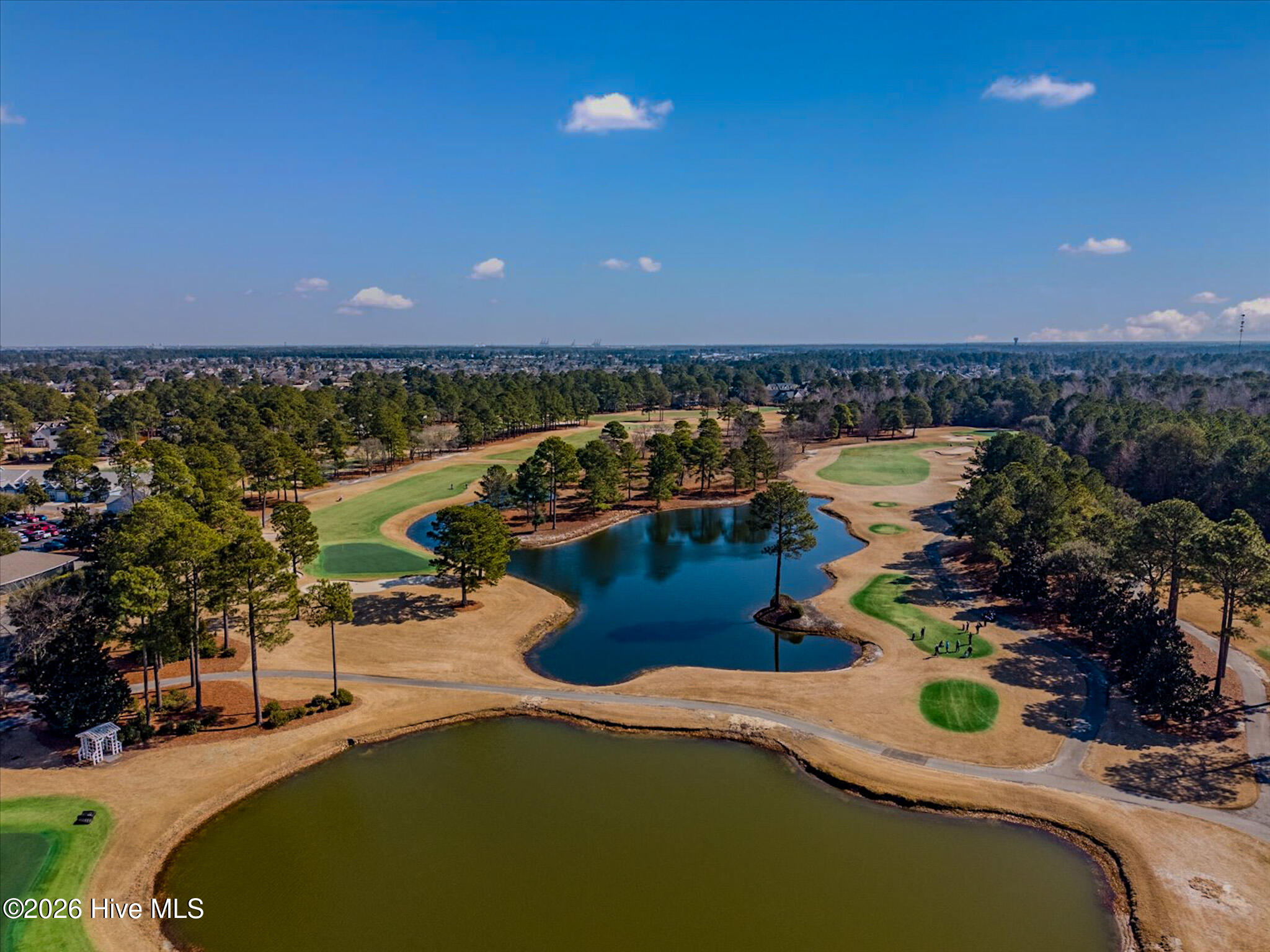 100554989 | Photo 52