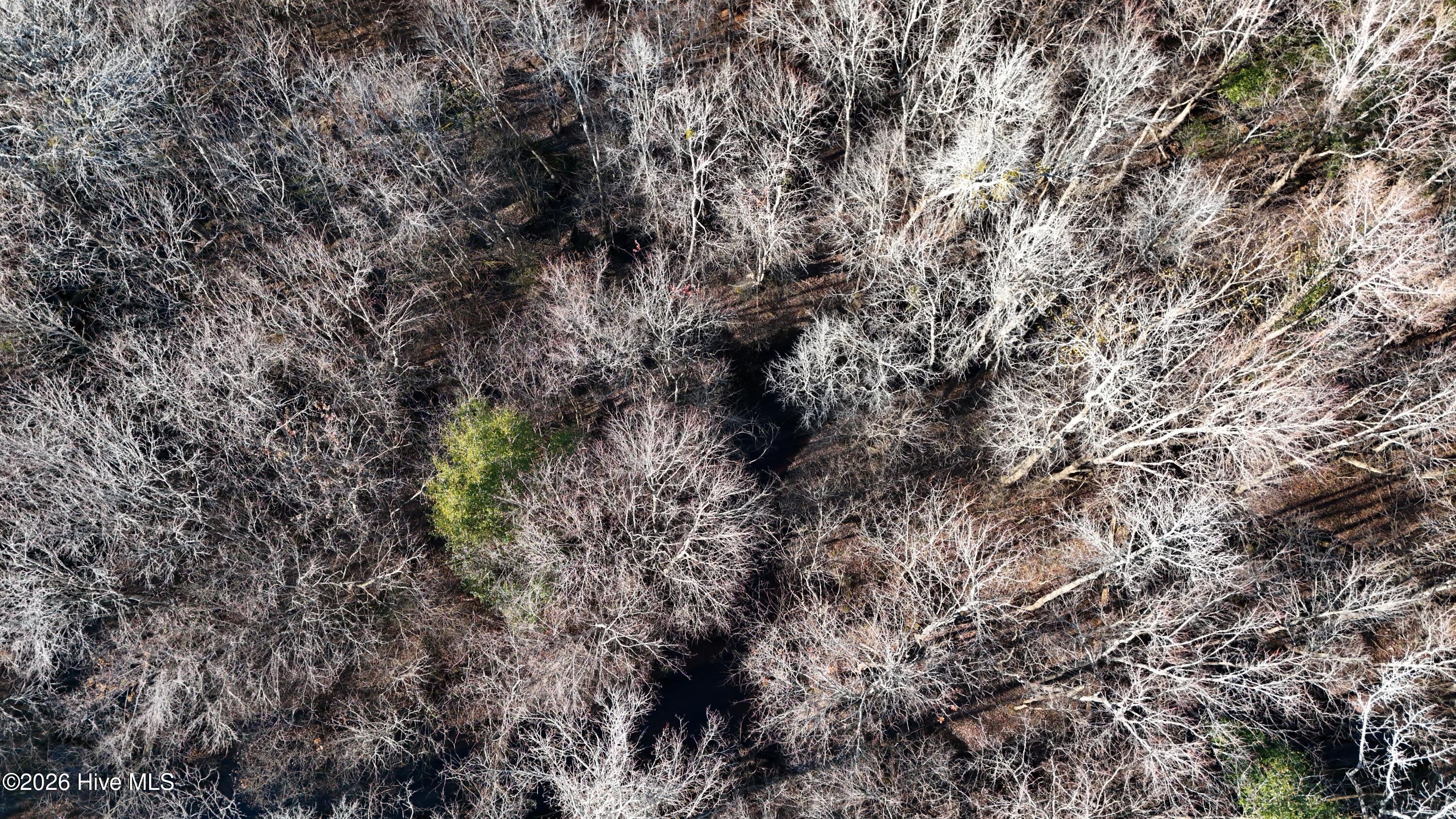 100556794 | Photo 23