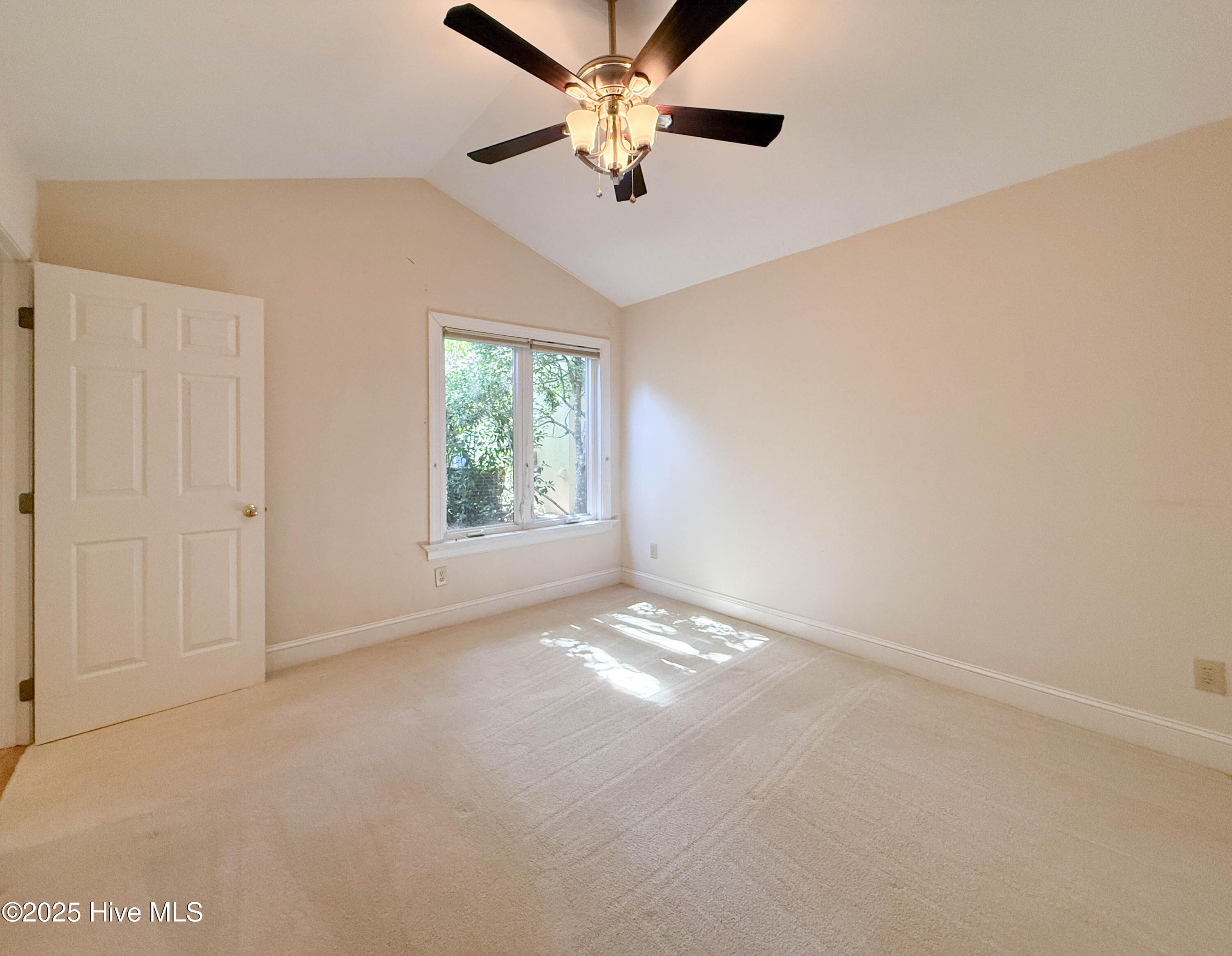 100535071 | Photo 33