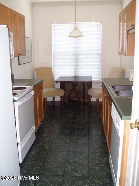 100501546 | Photo 12