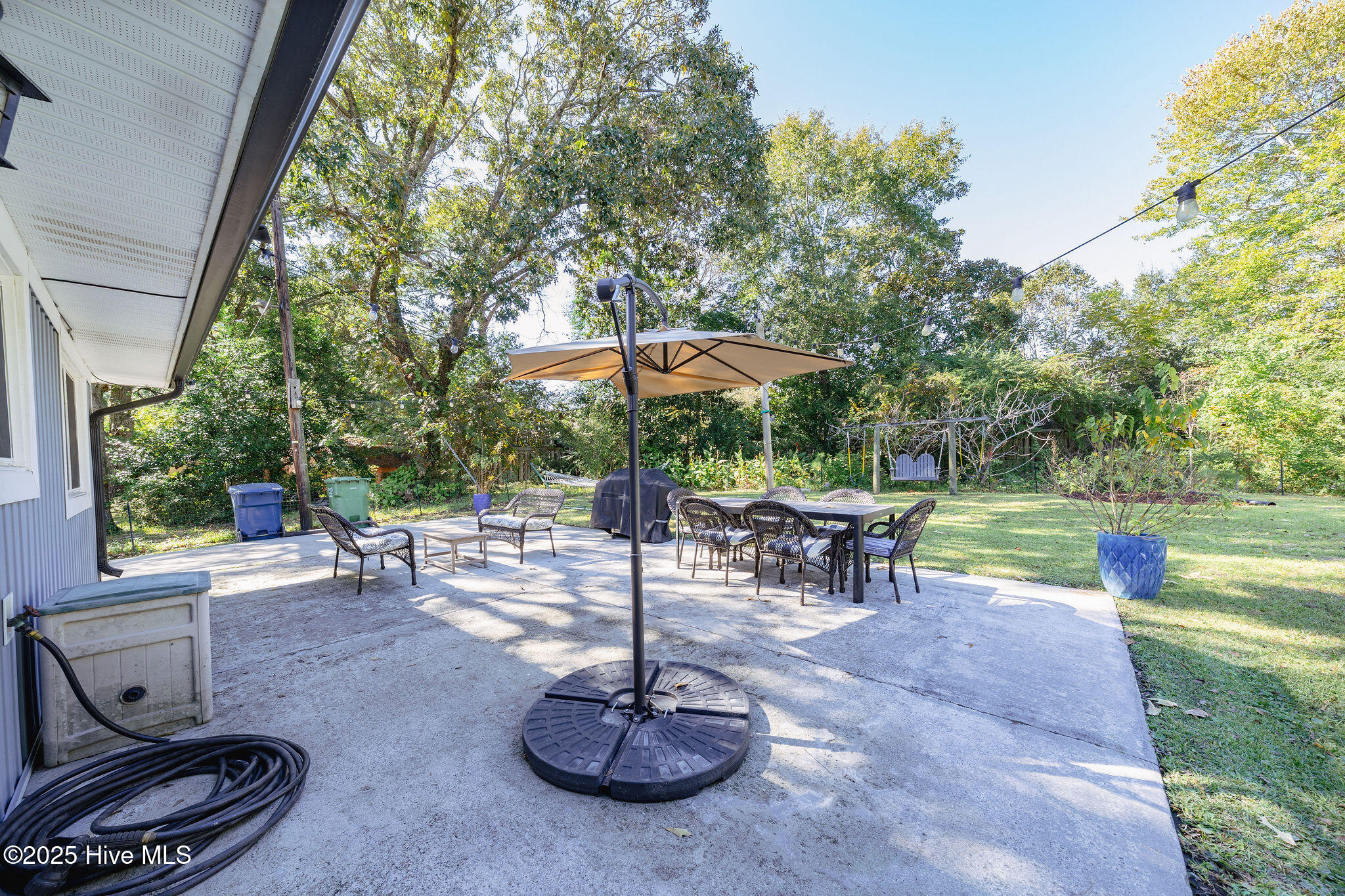 100538264 | Photo 10