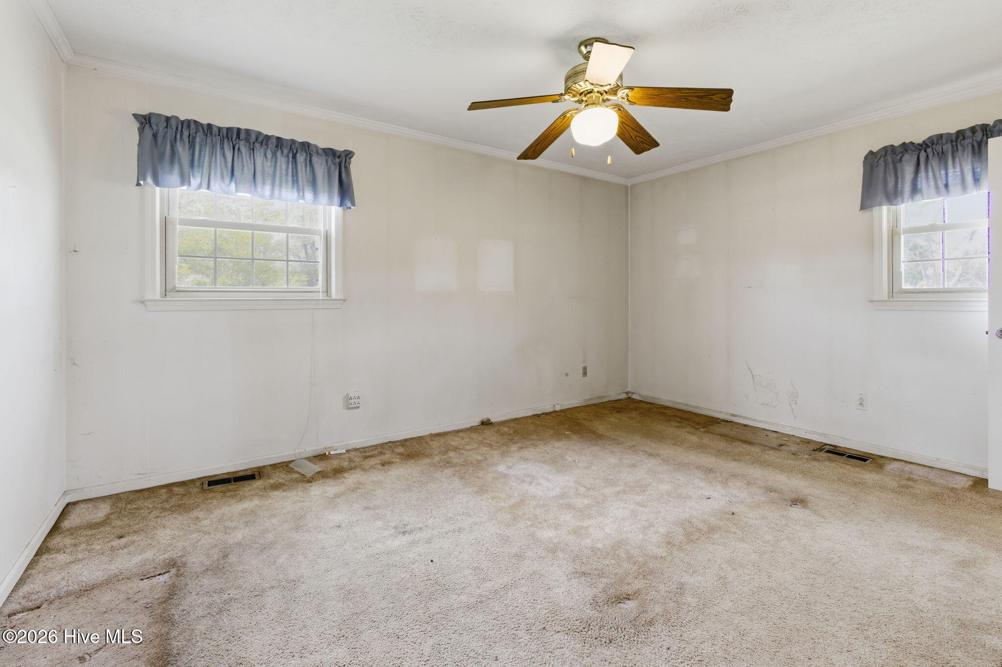 100564416 | Photo 29