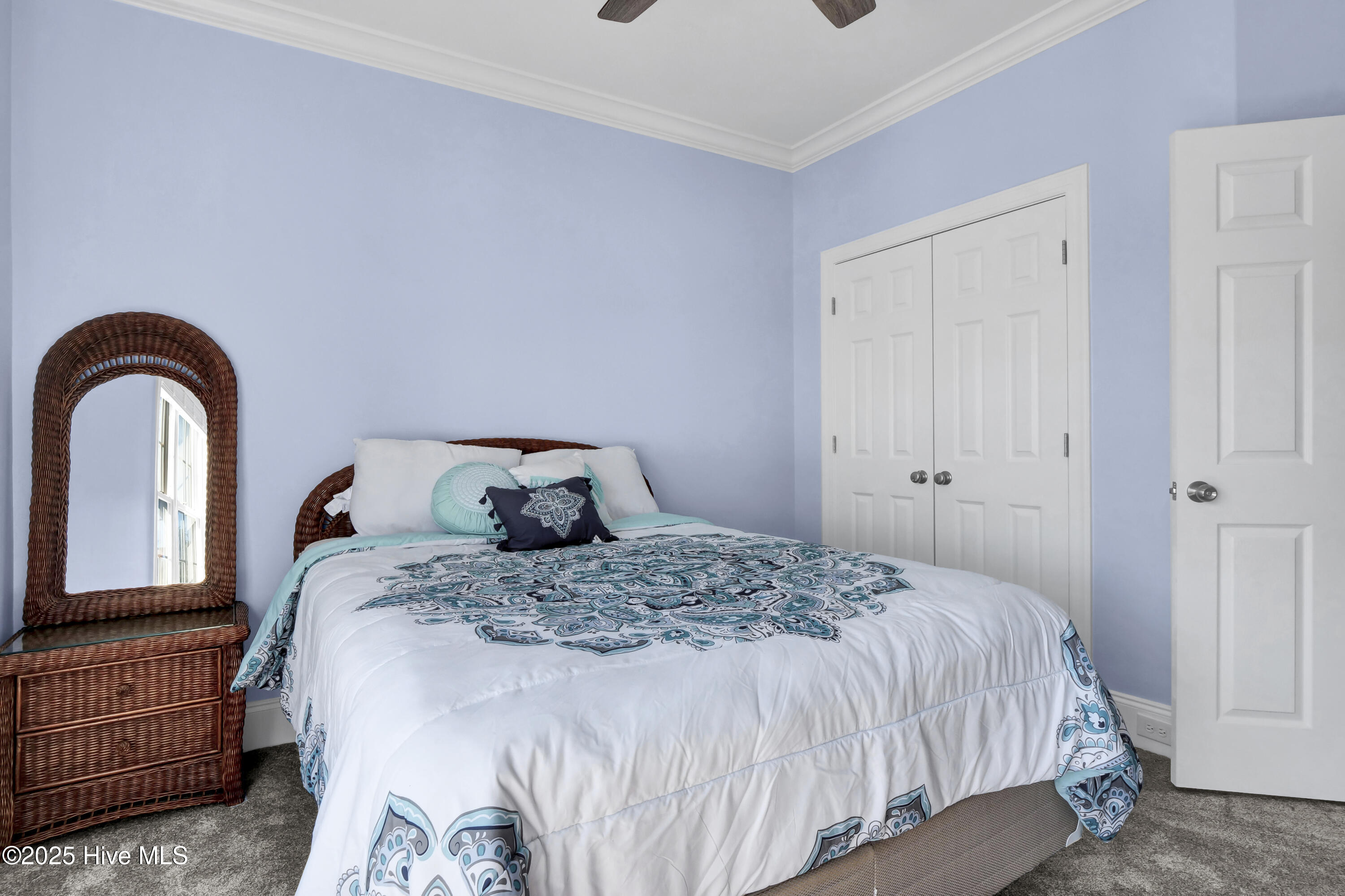 100546840 | Photo 17