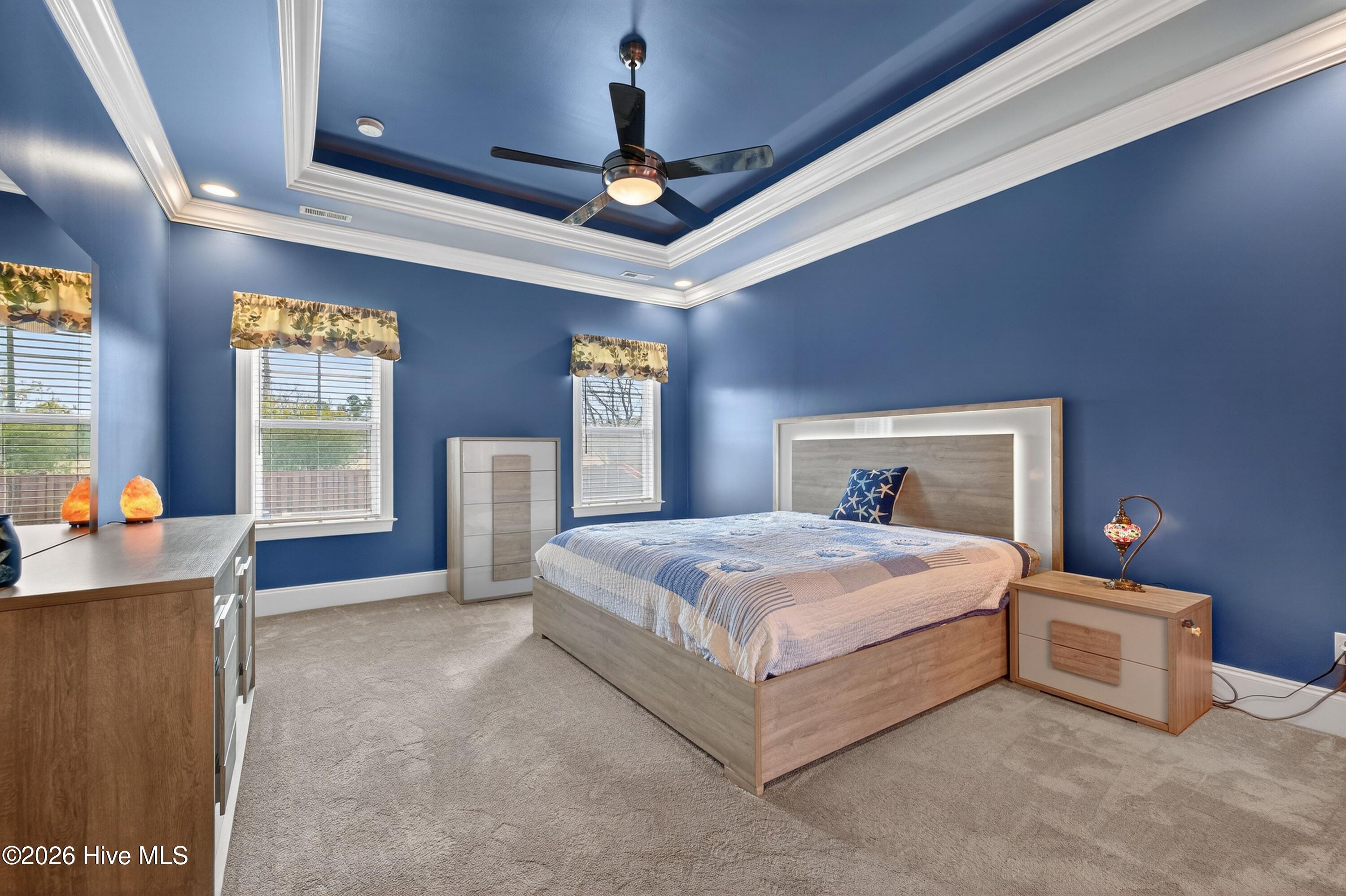 100552458 | Photo 14