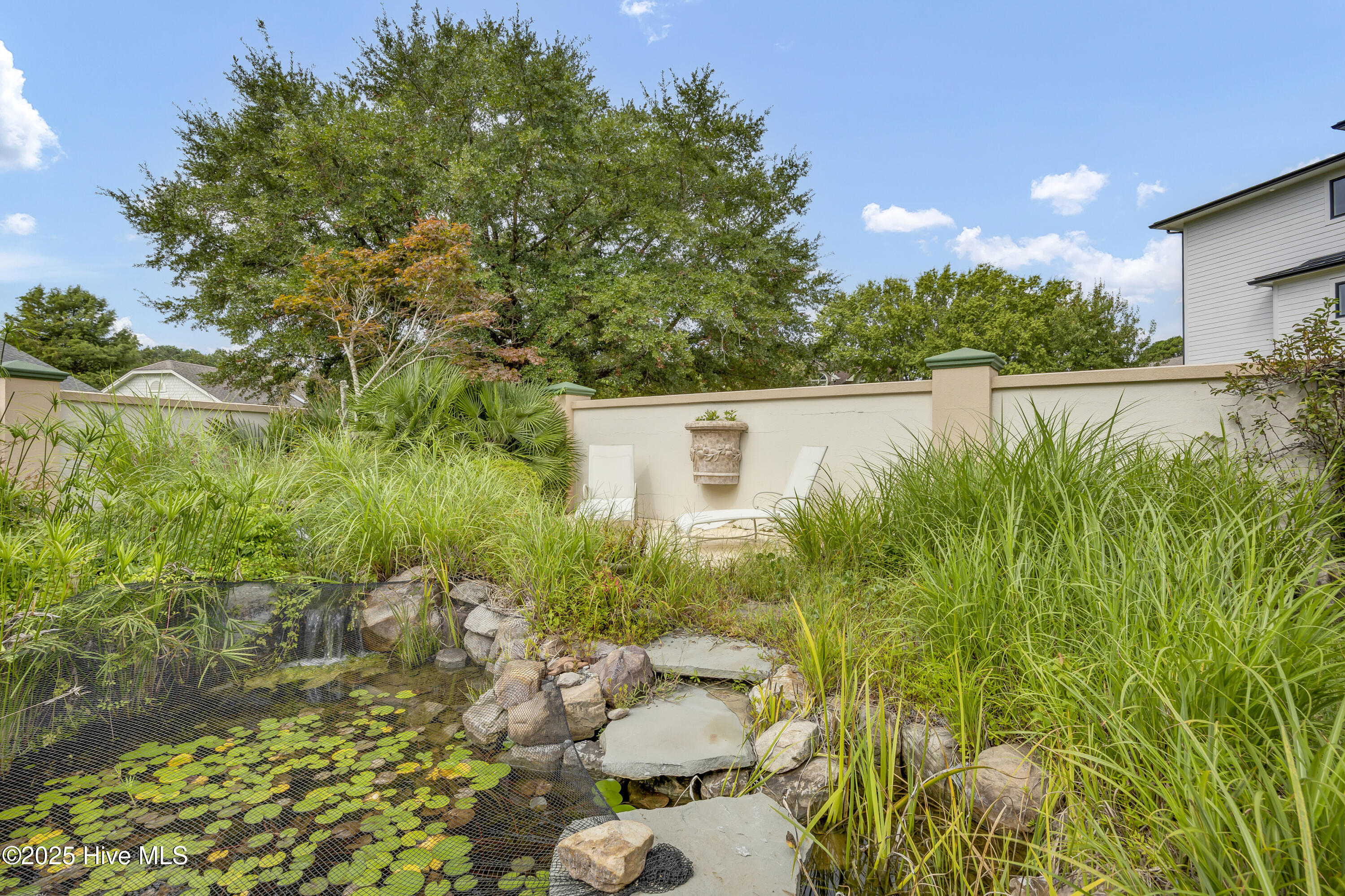 100530989 | Photo 63