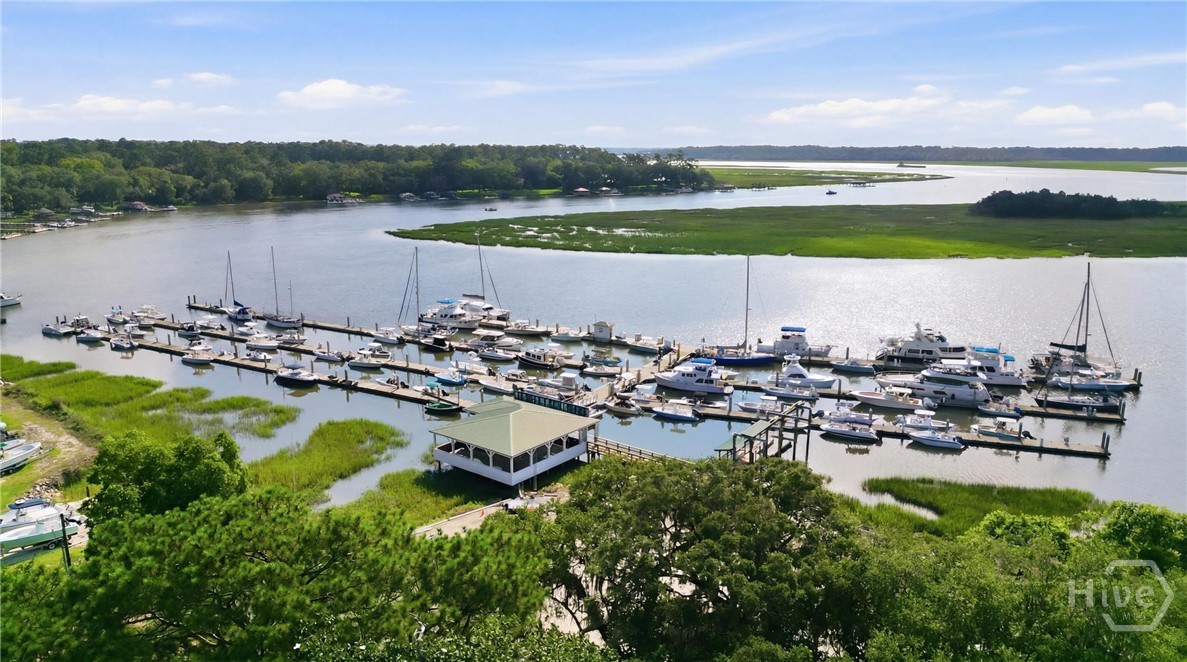 Full service Isle of Hope Marina steps away from Wymberley