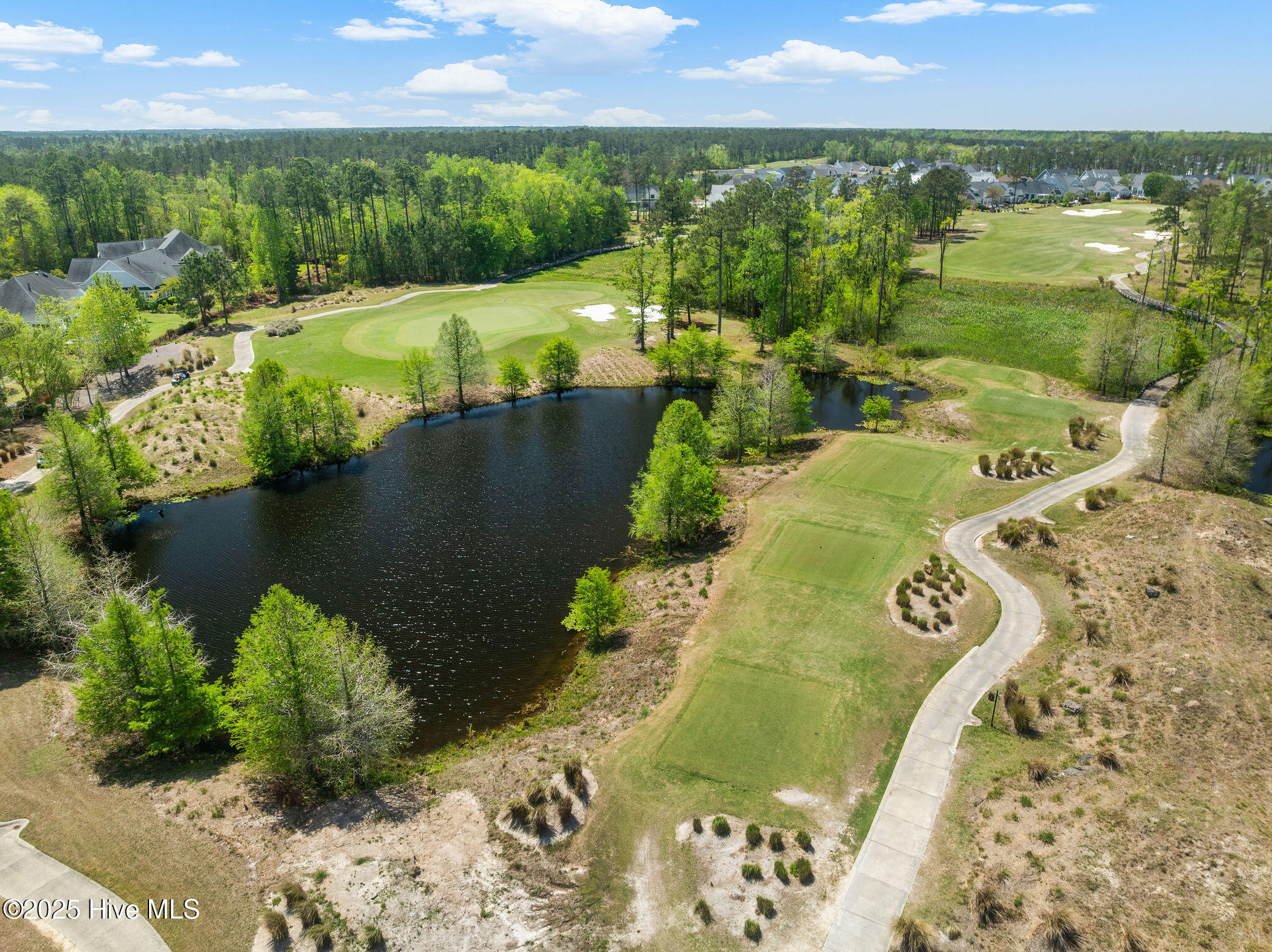 100518034 | Photo 68