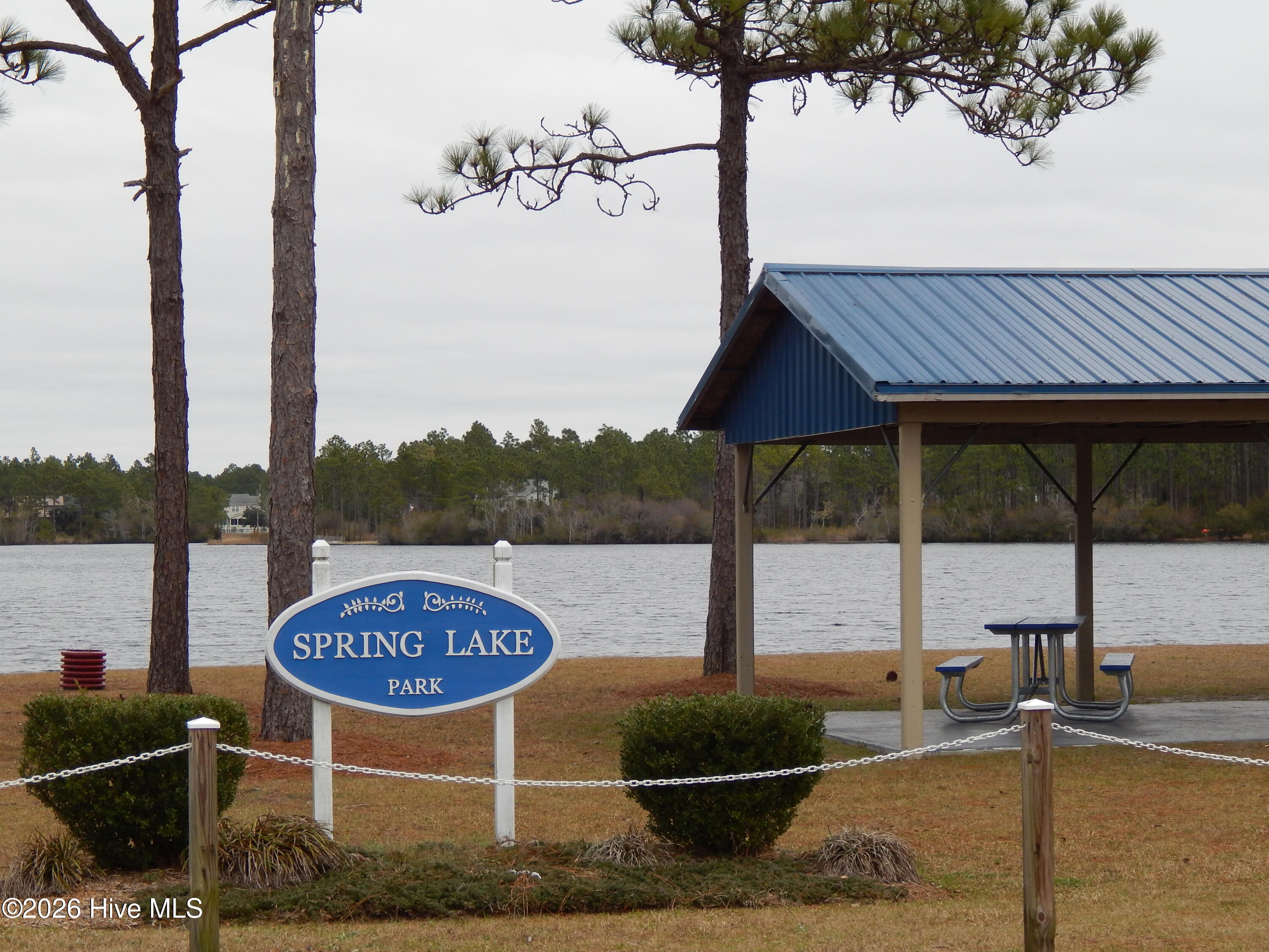 100567178 | Photo 23