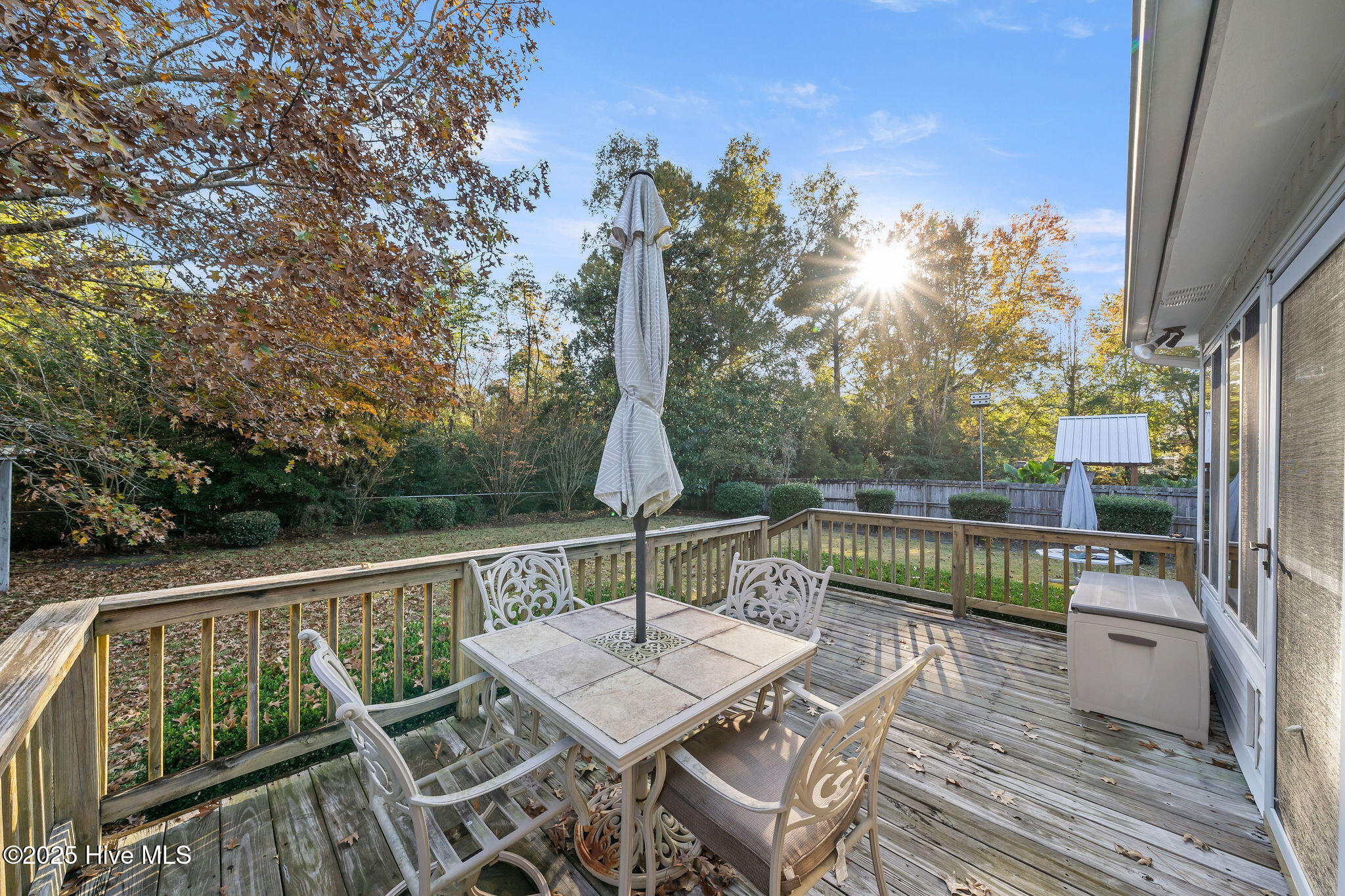 100542635 | Photo 44