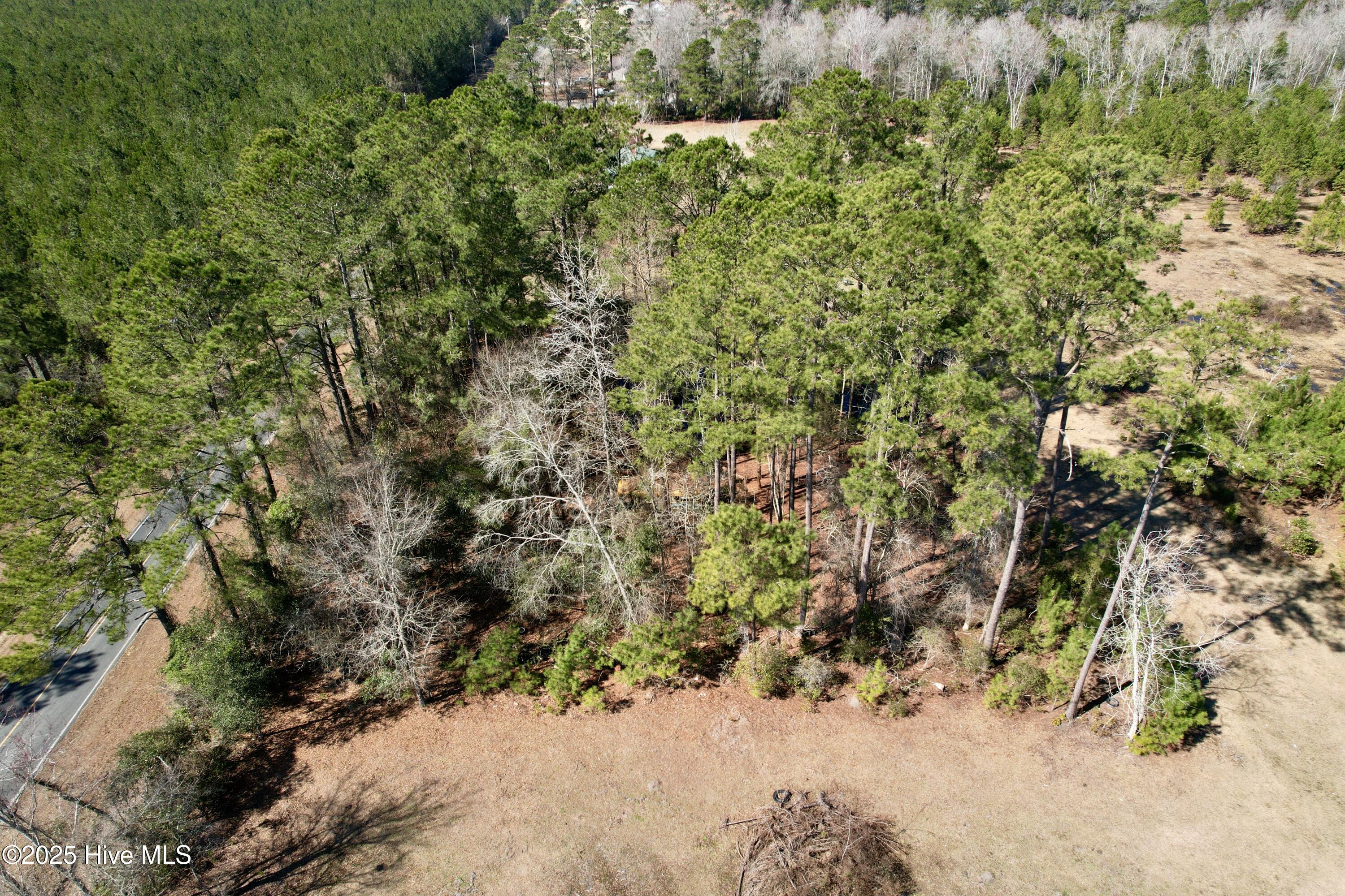 100490813 | Photo 10