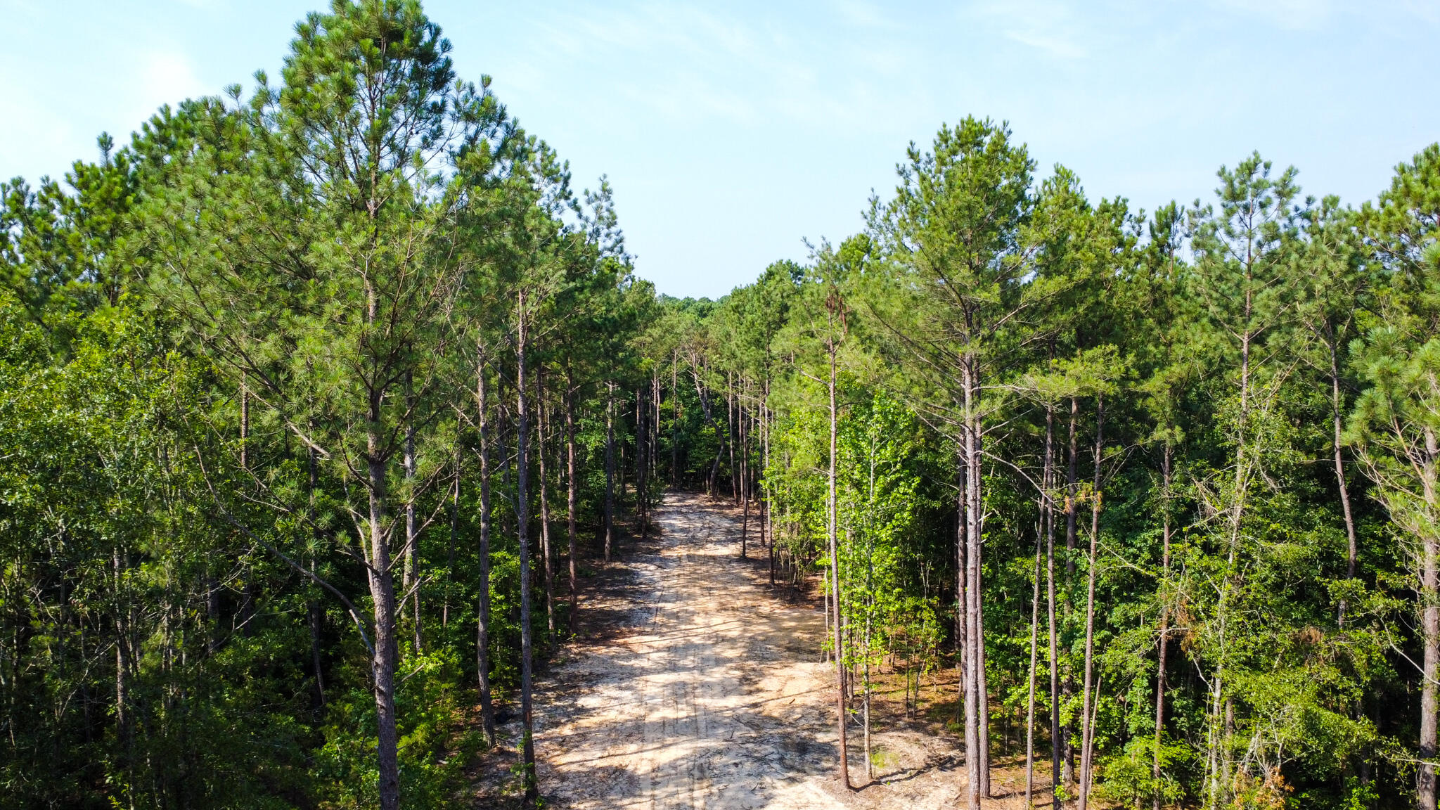 0 Backway Road, Lincolnton, GA, 30817