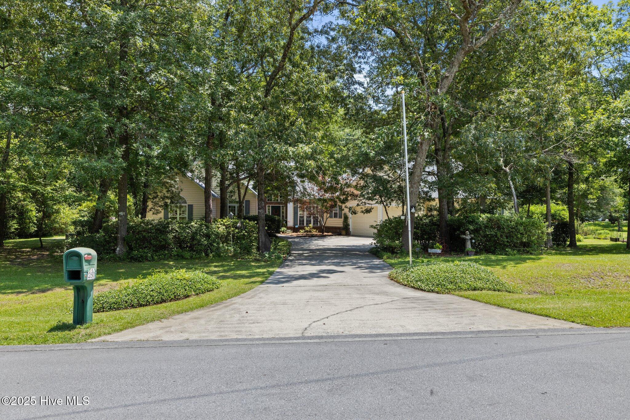 100517626 | Photo 64