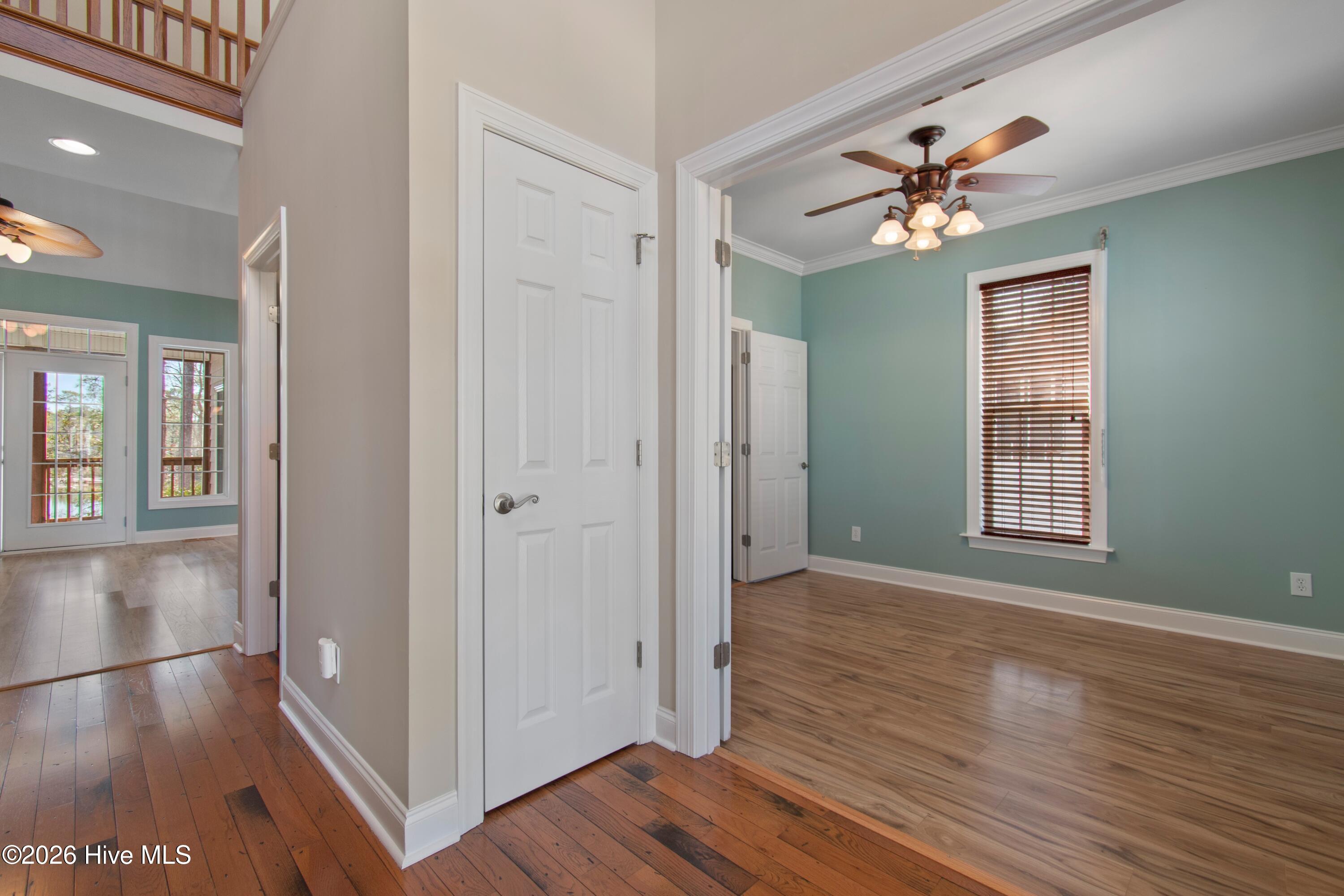 100555645 | Photo 19