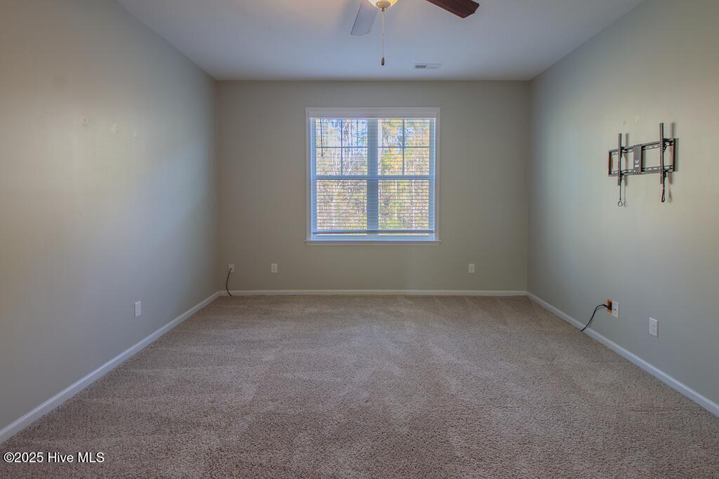 100545808 | Photo 24