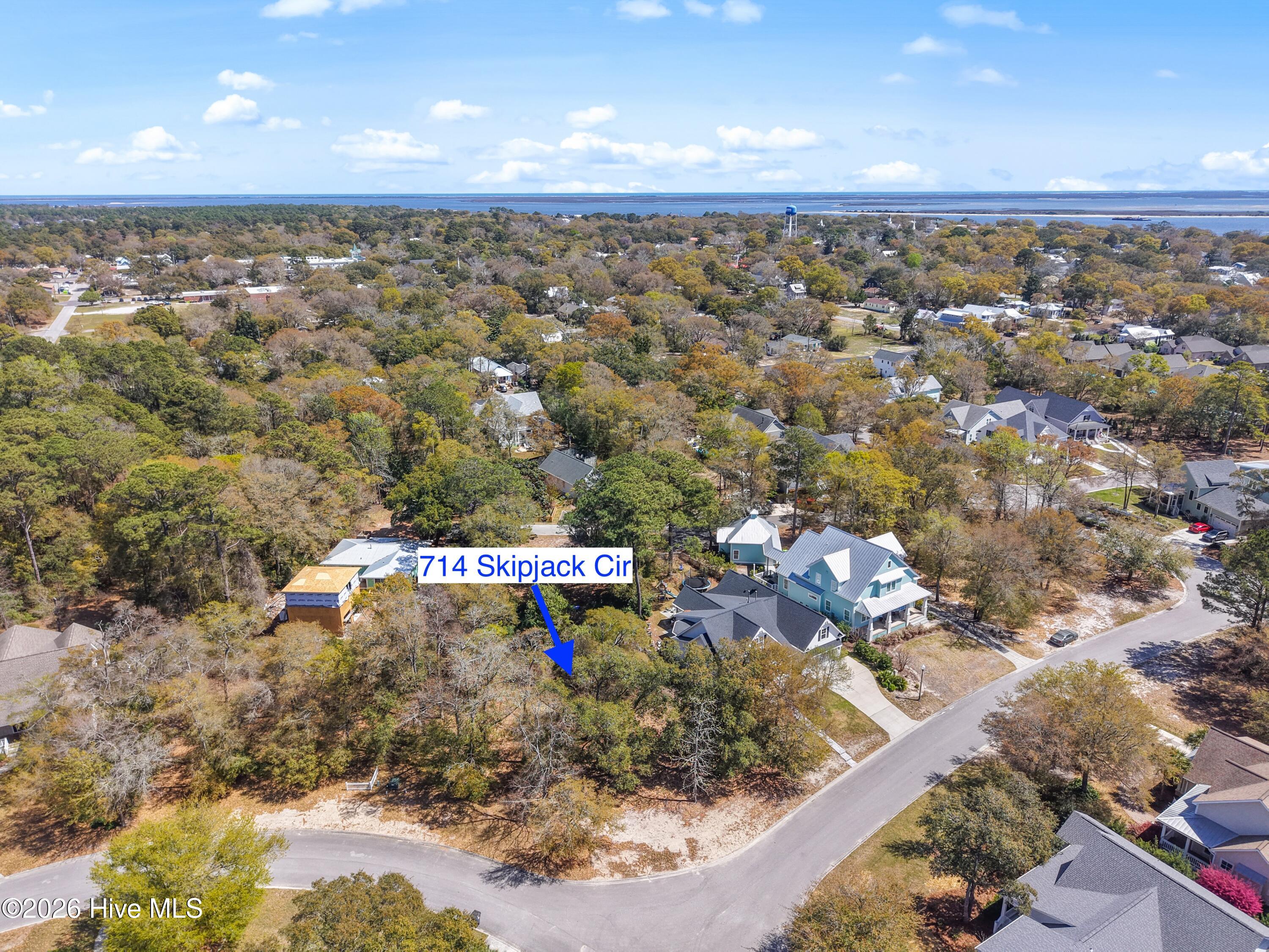 100563883 | Photo 13