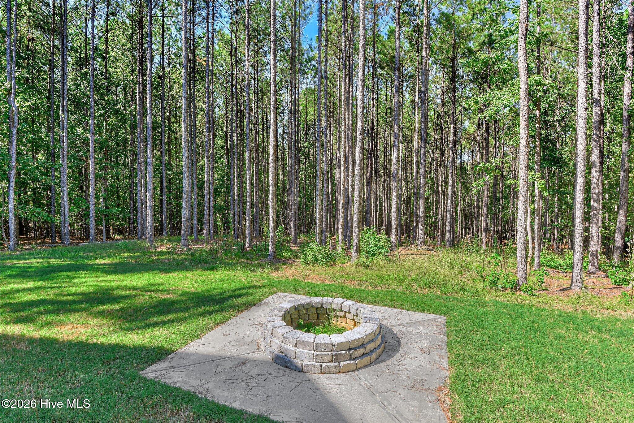 Large backyard with fire pit and trail to the lake, lot is dockable when water levels return to normal.