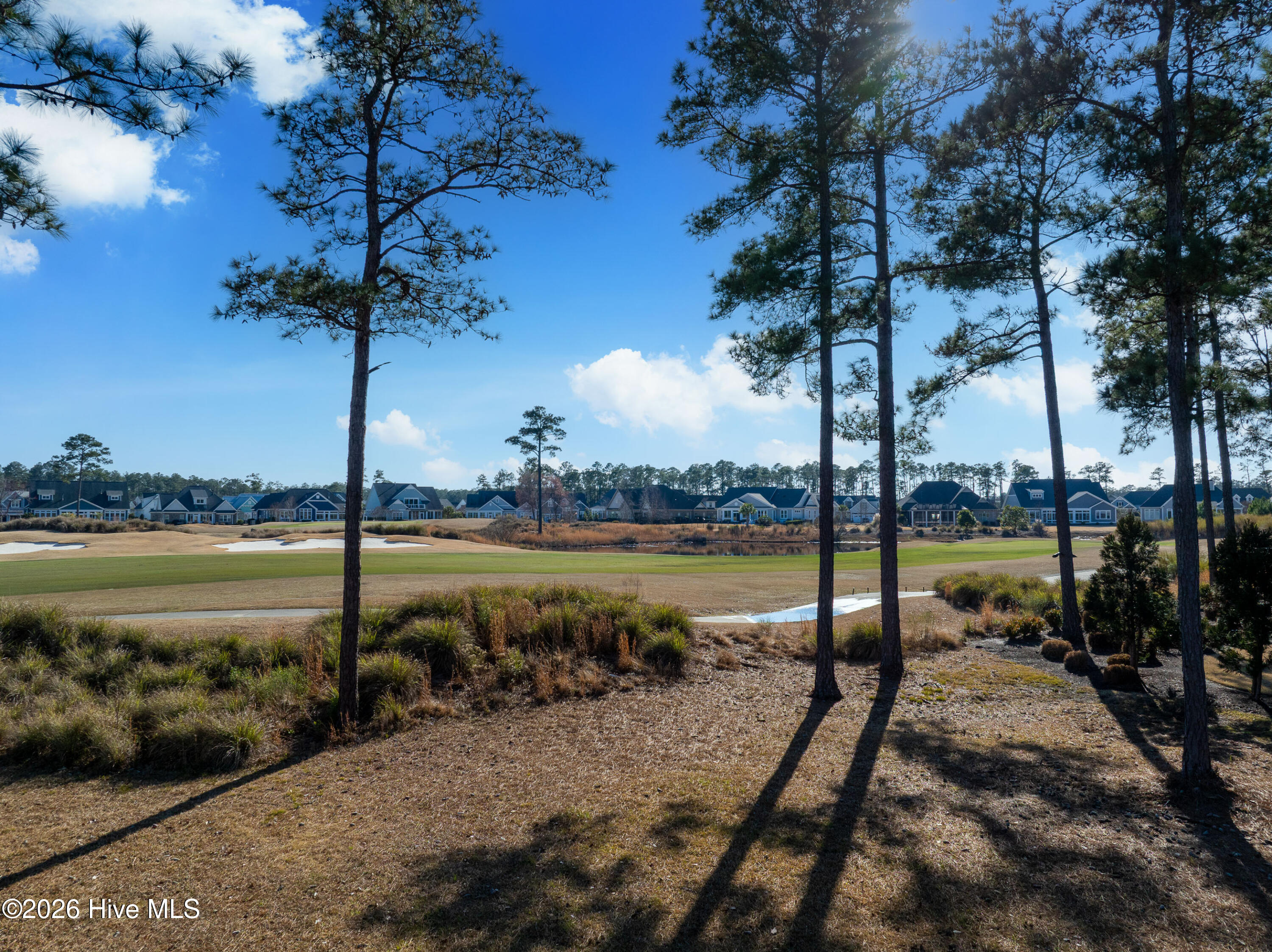 100557146 | Photo 28