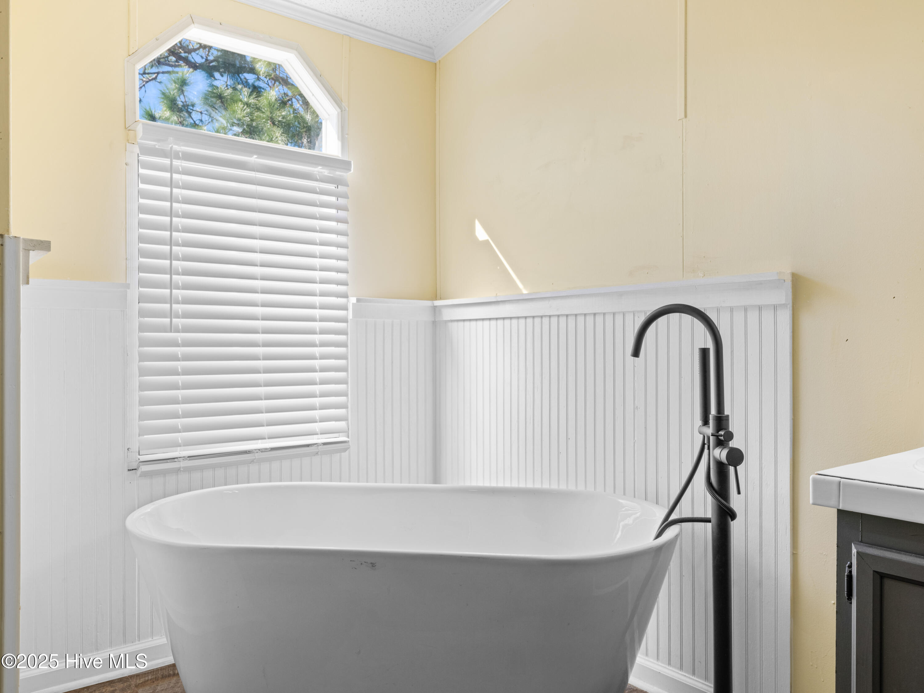 100540090 | Photo 32