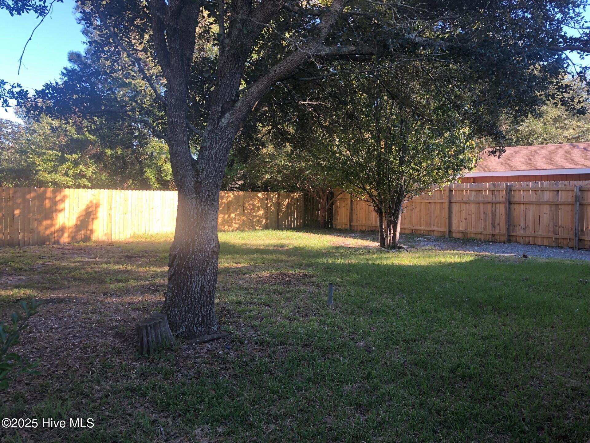 100533796 | Photo 46