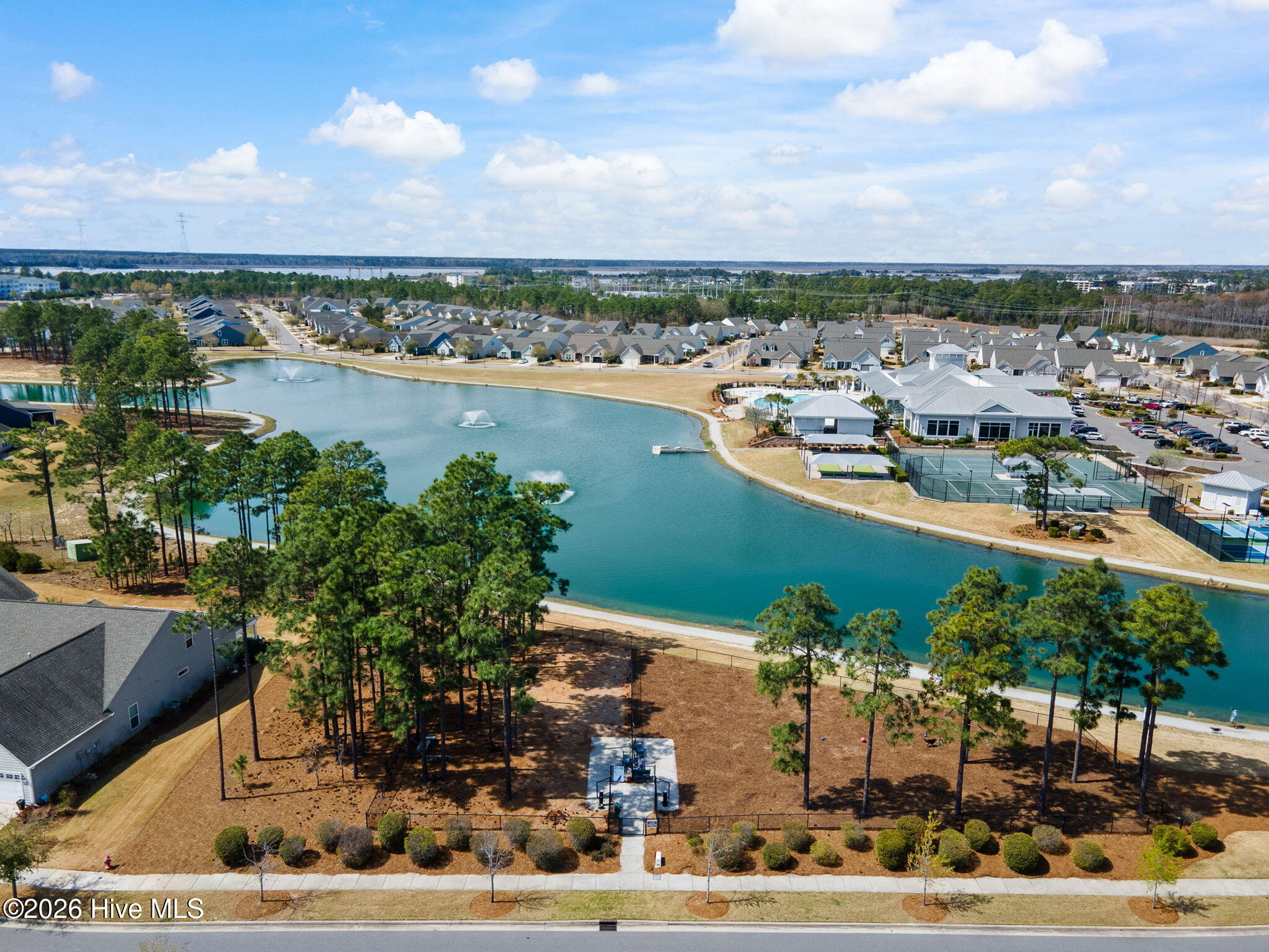 100564414 | Photo 68