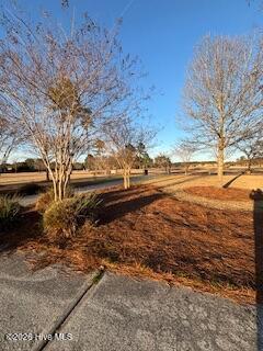 100558874 | Photo 50