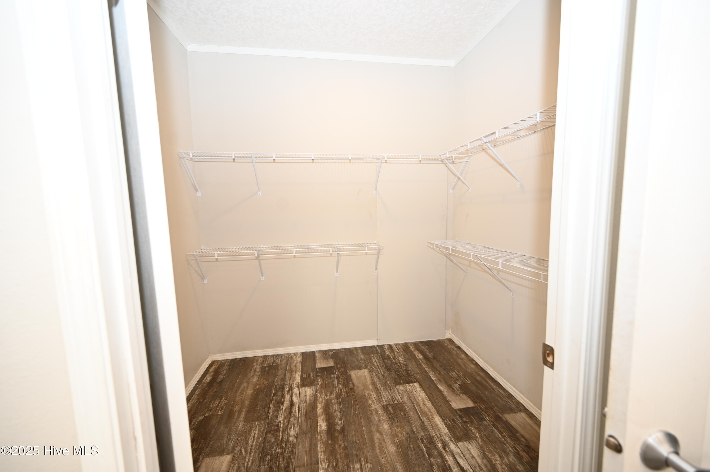 100541262 | Photo 20