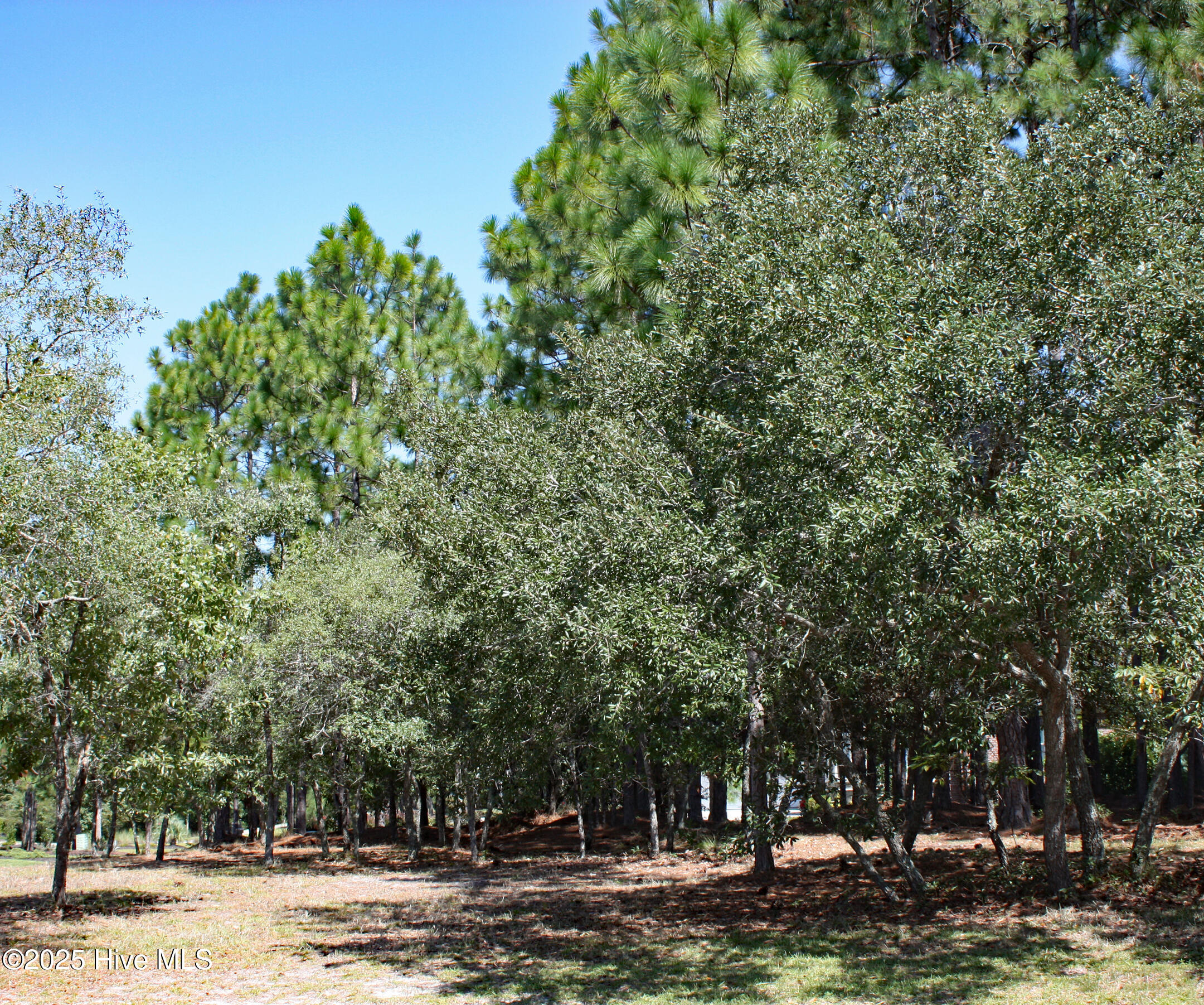 6452 Kirkwall Point SW, Ocean Isle Beach, NC, 28469