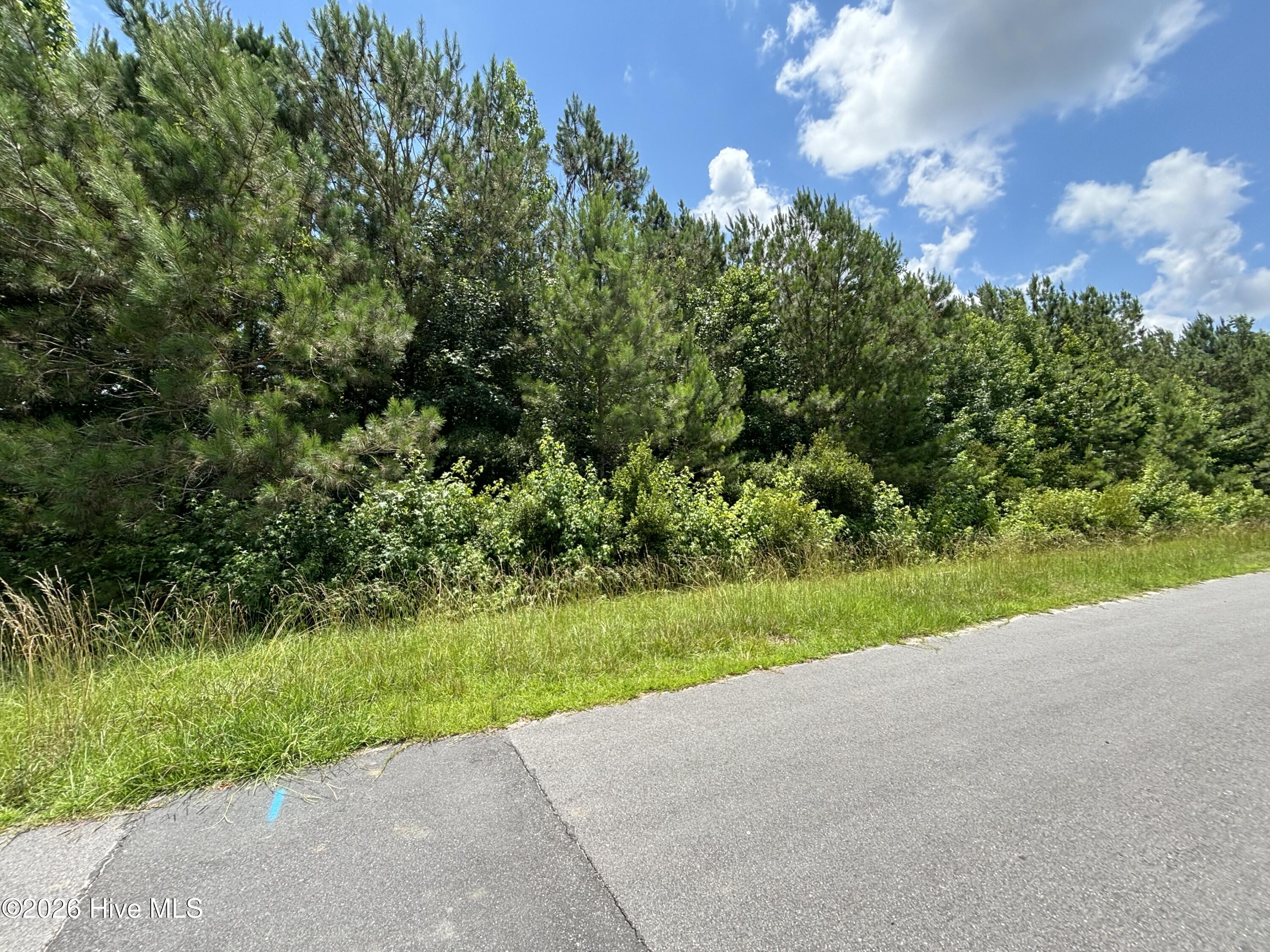 Exterior photo of 0 Progress Drive, Burgaw, NC 28425. MLS: 100586341