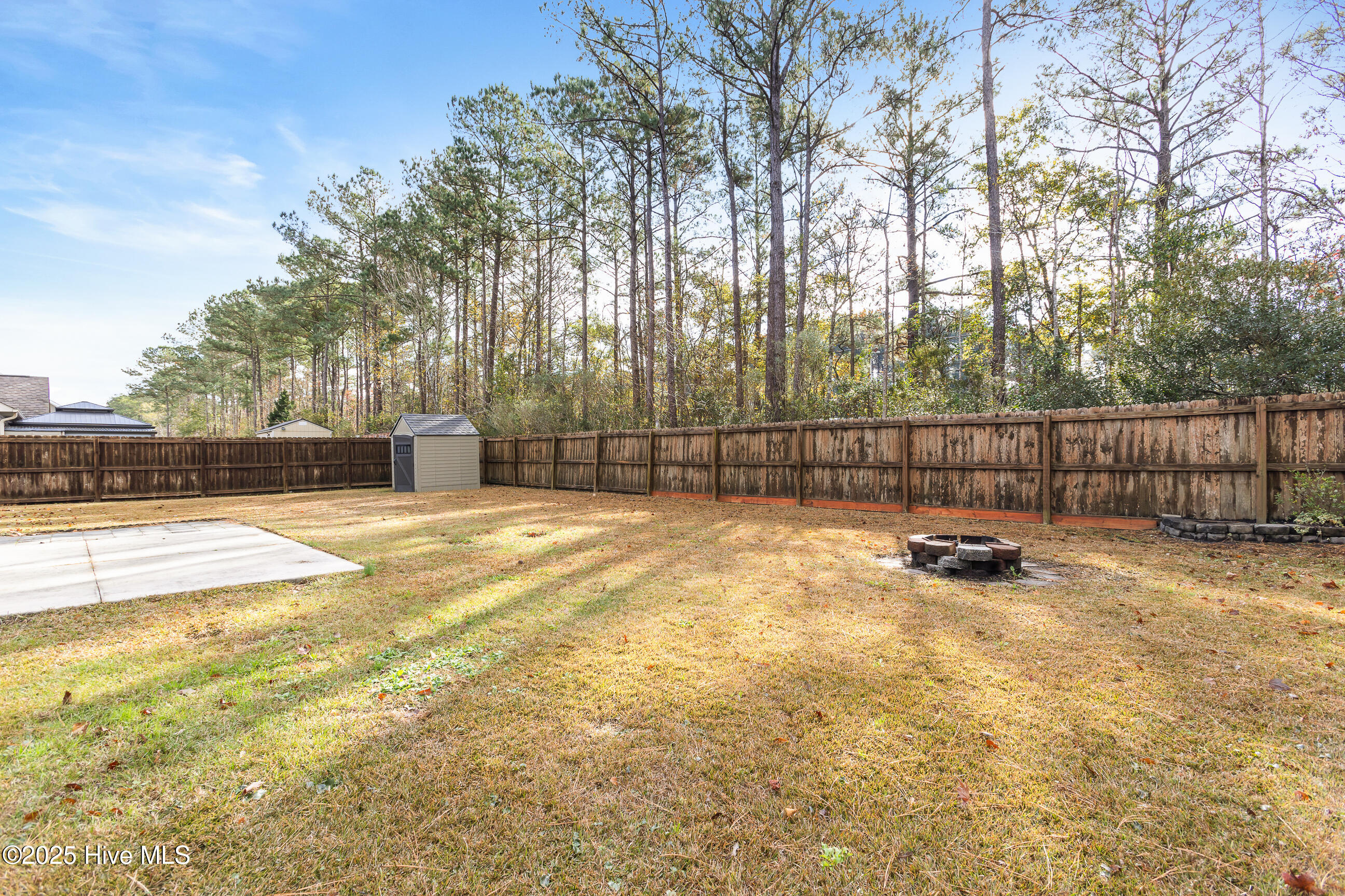 100541001 | Photo 31