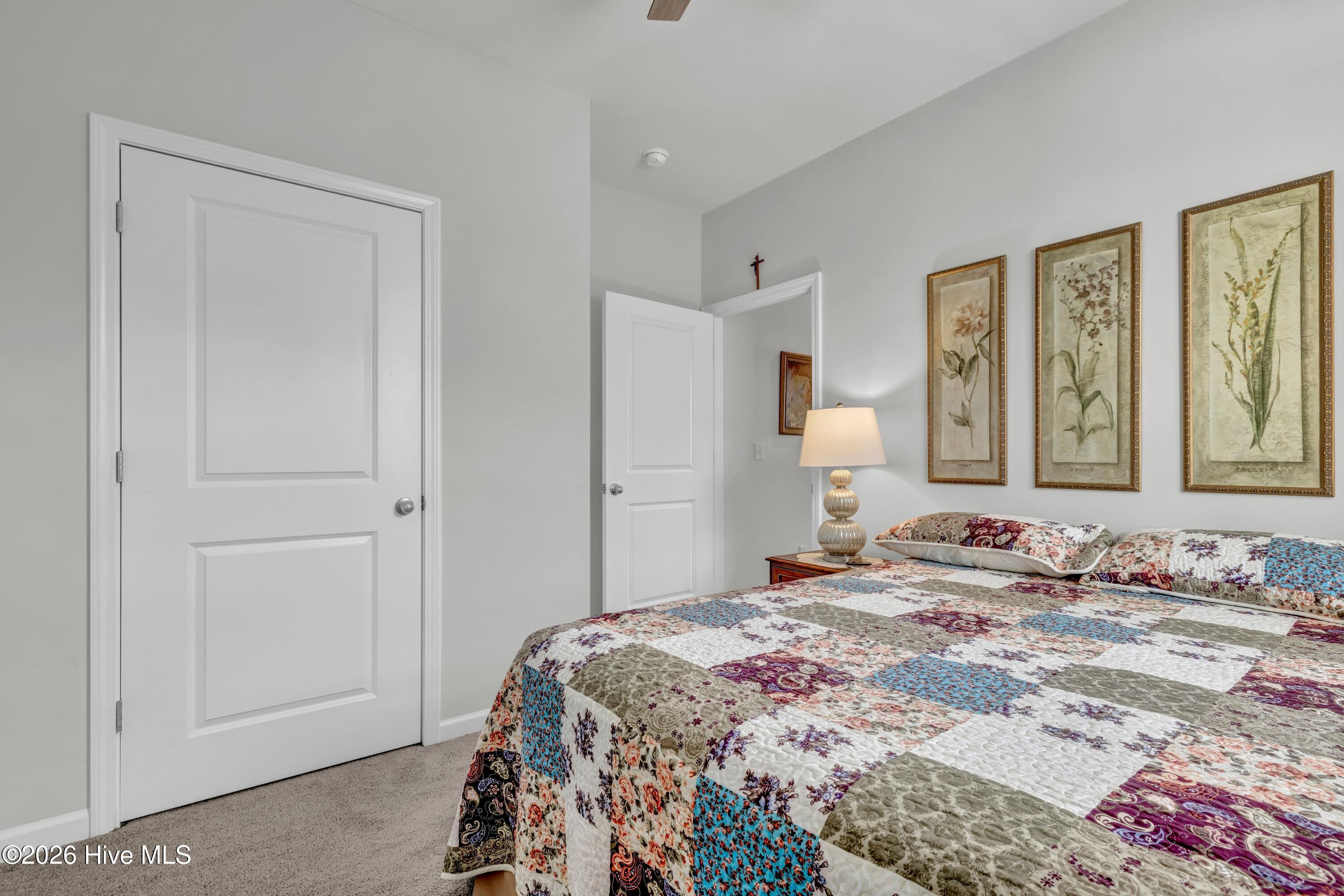 100558362 | Photo 23