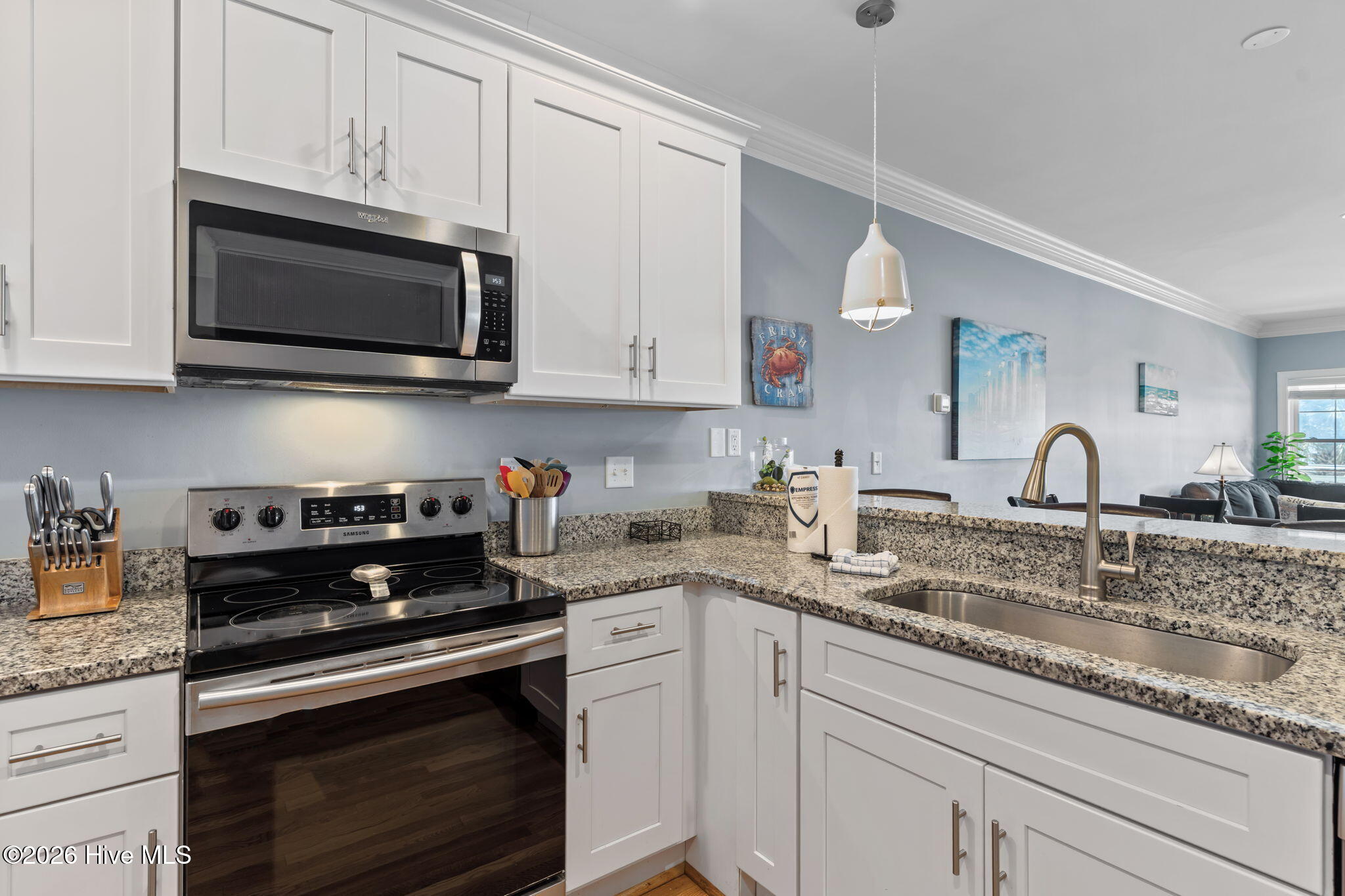 100530858 | Photo 17