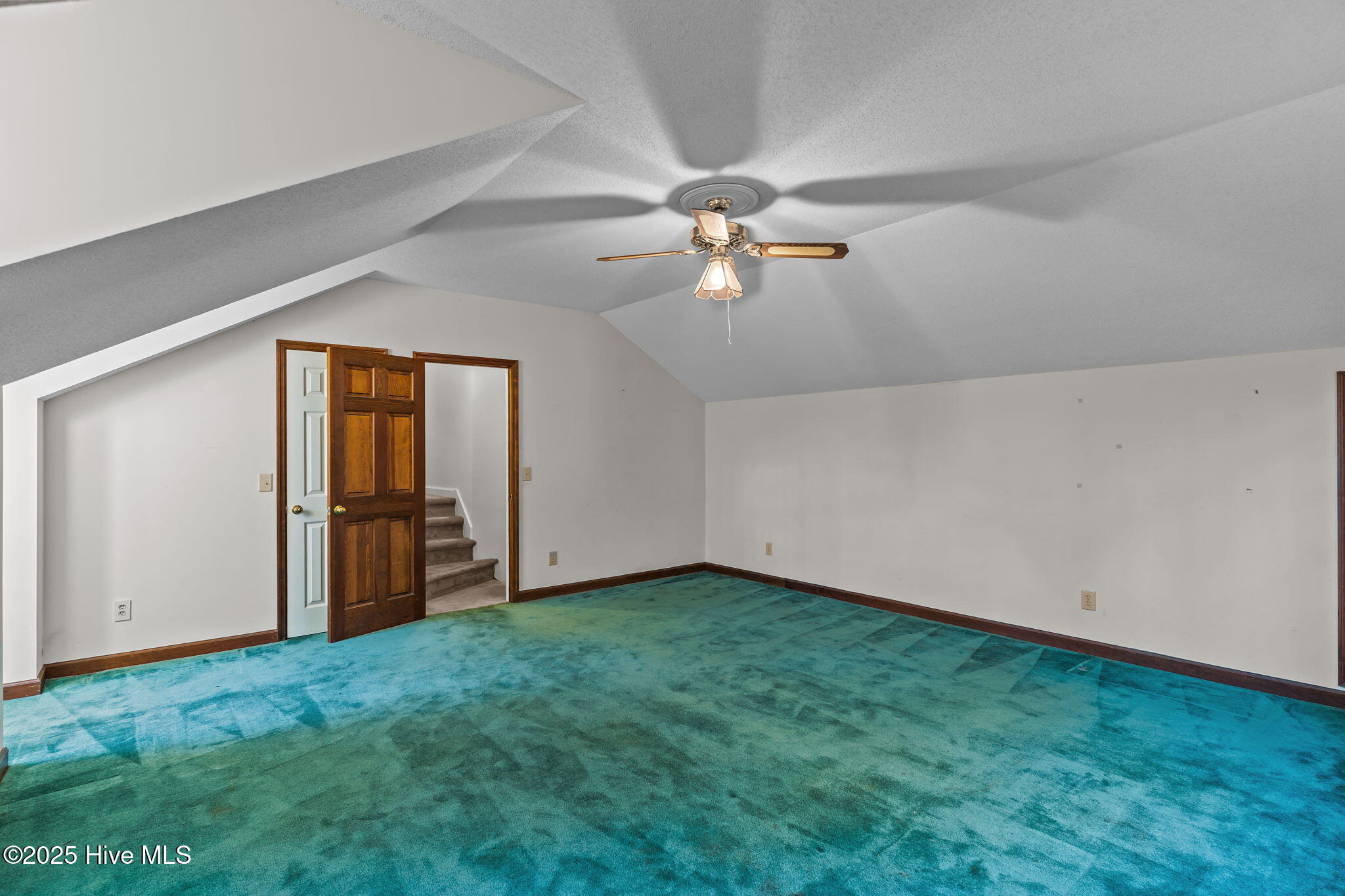 100540294 | Photo 33