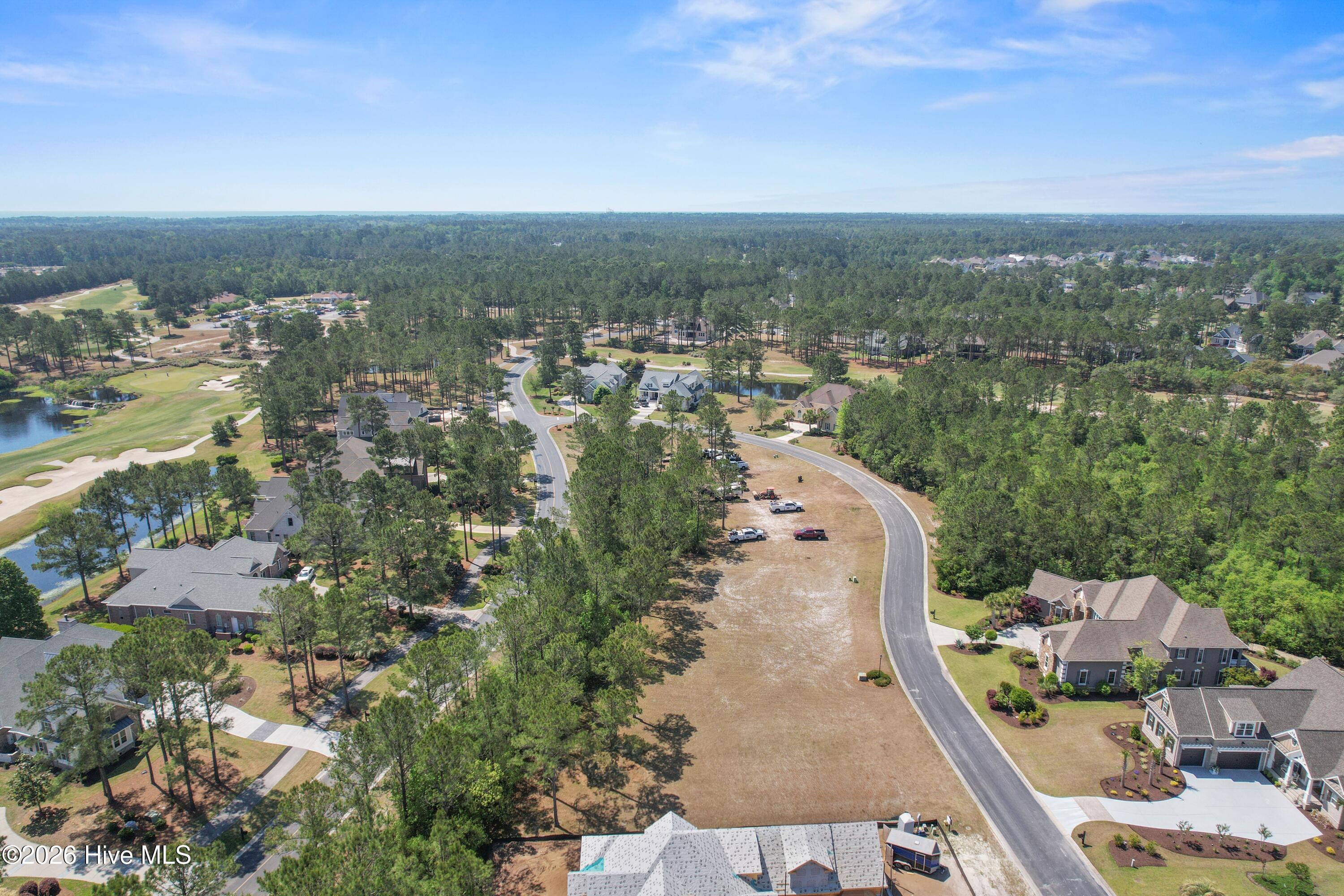 100570041 | Photo 15