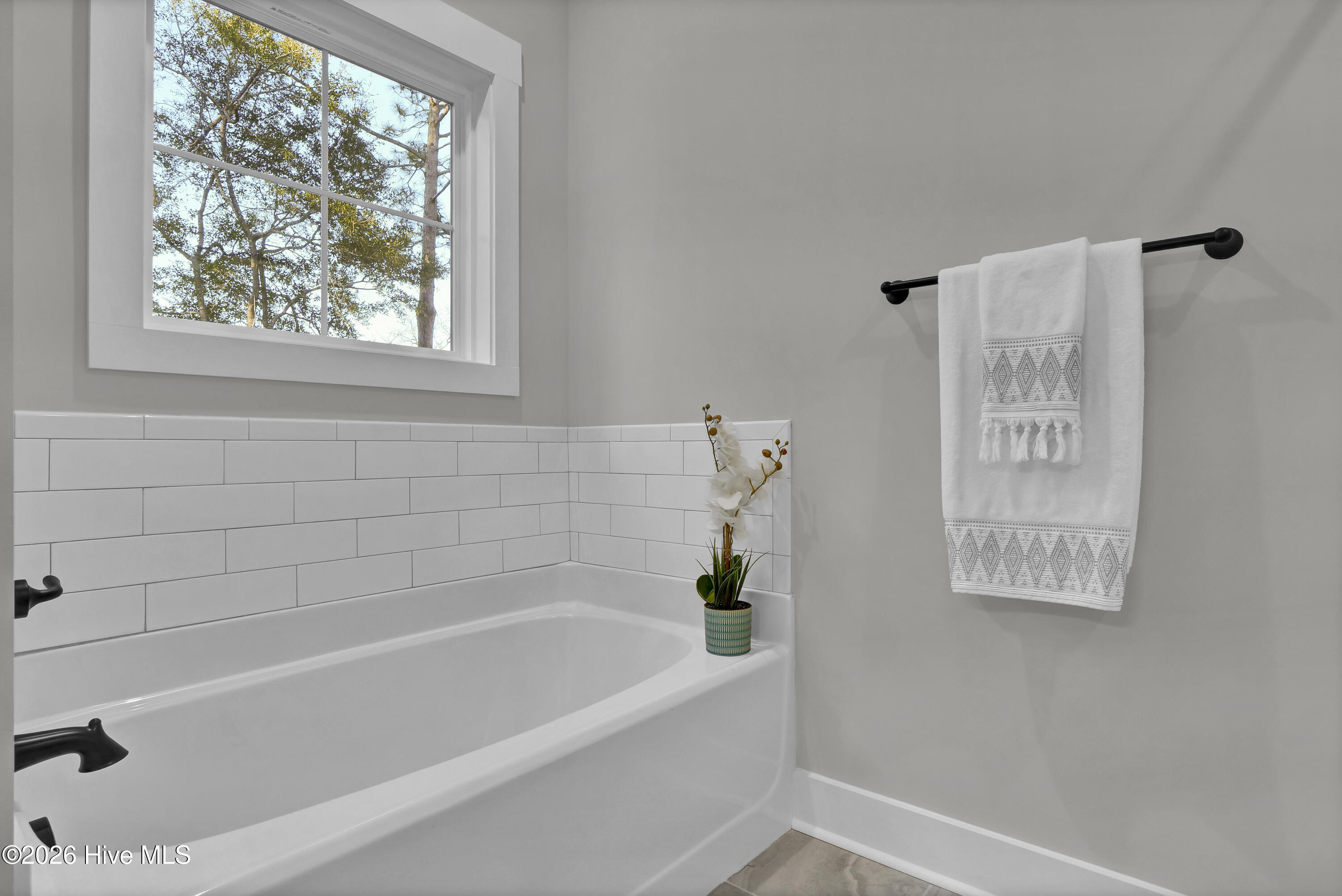 100550236 | Photo 29