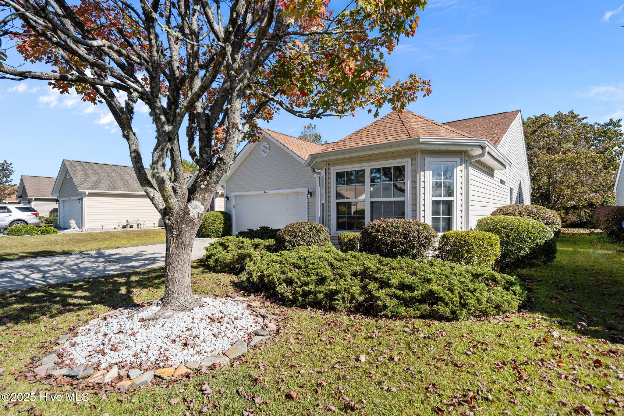 100540137 | Photo 38