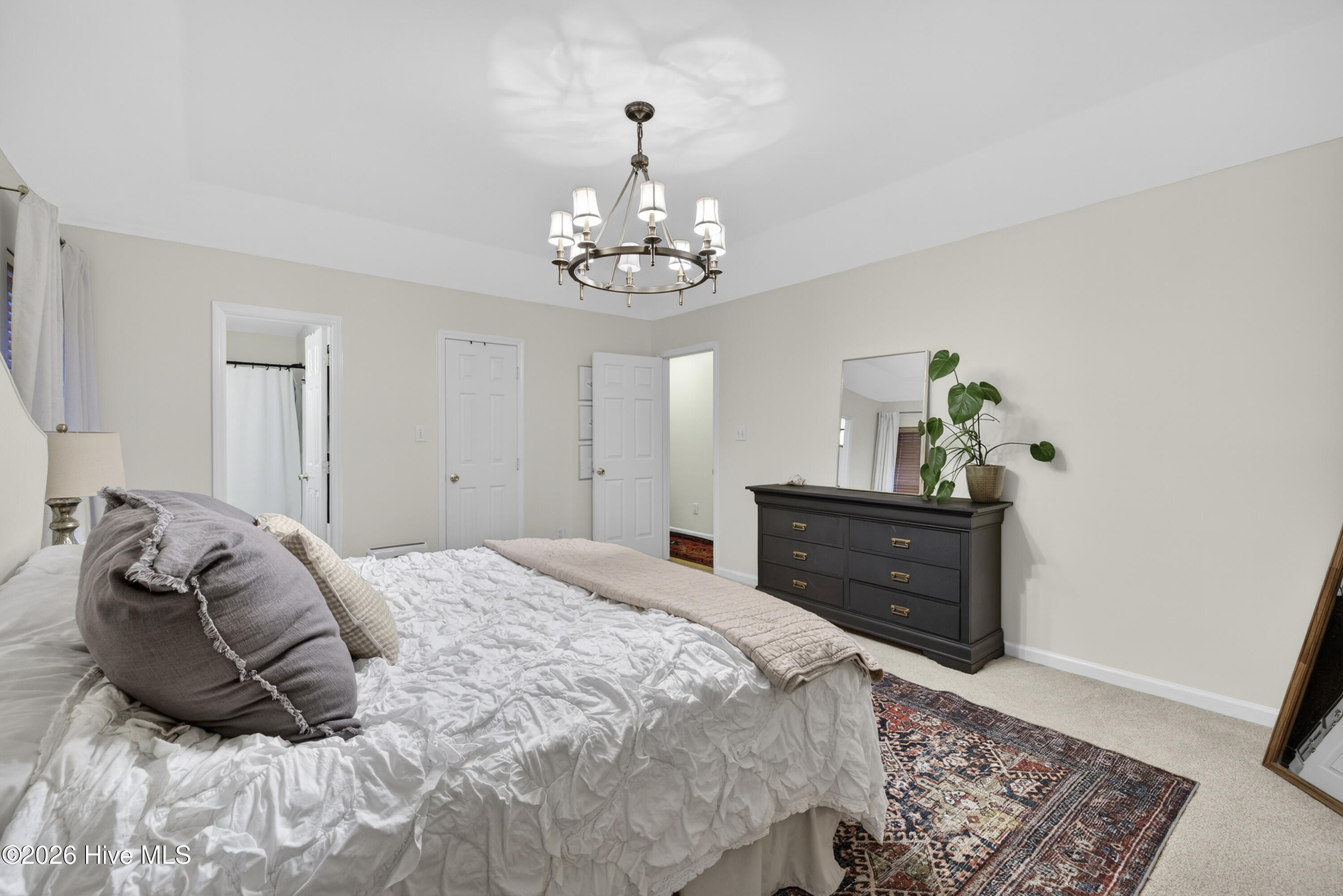 100558180 | Photo 28