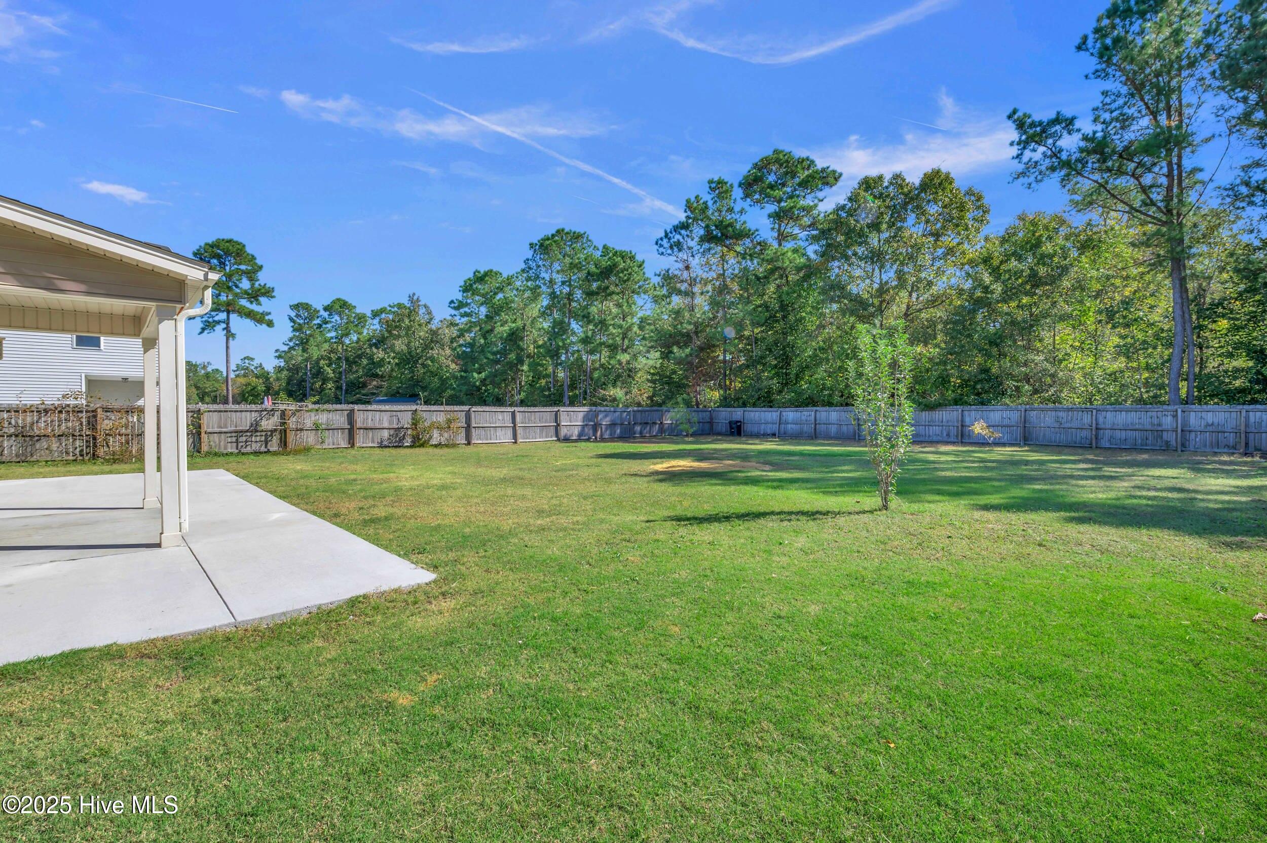 100538065 | Photo 44