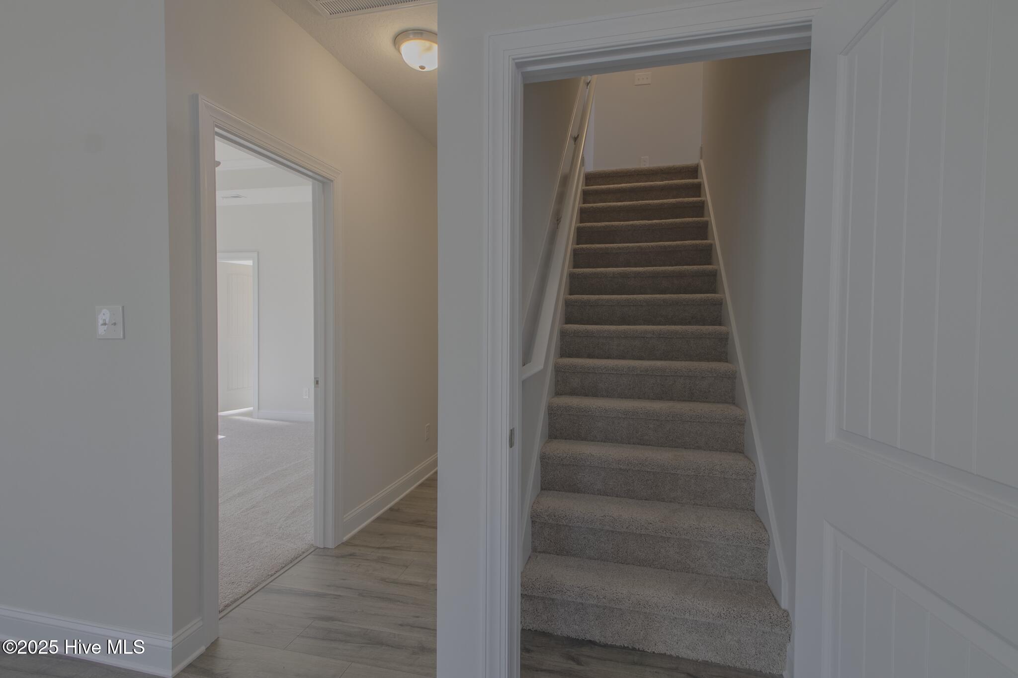 100494153 | Photo 23