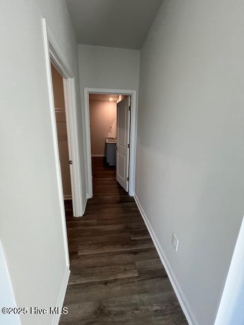 100529934 | Photo 20