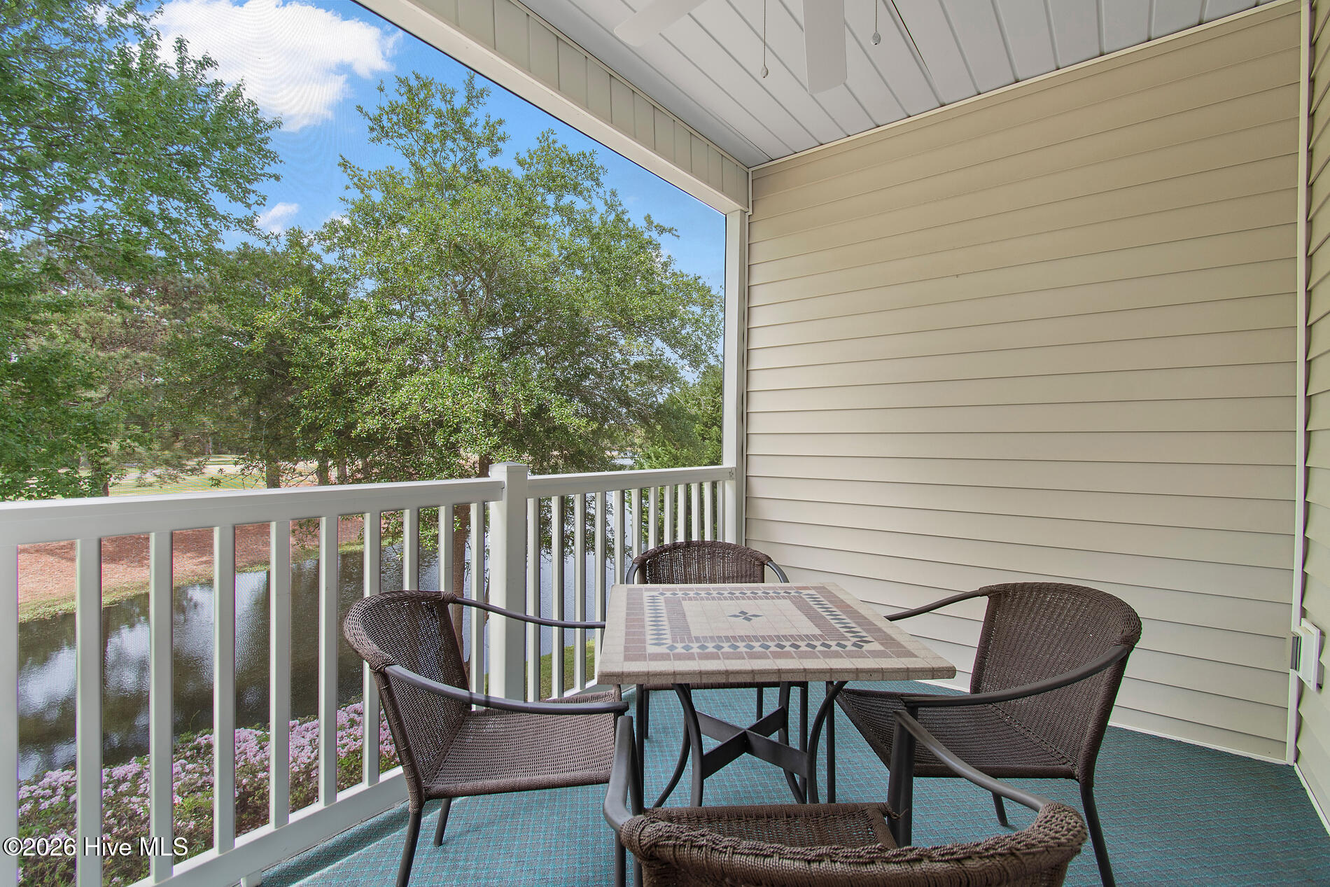 100566917 | Photo 18