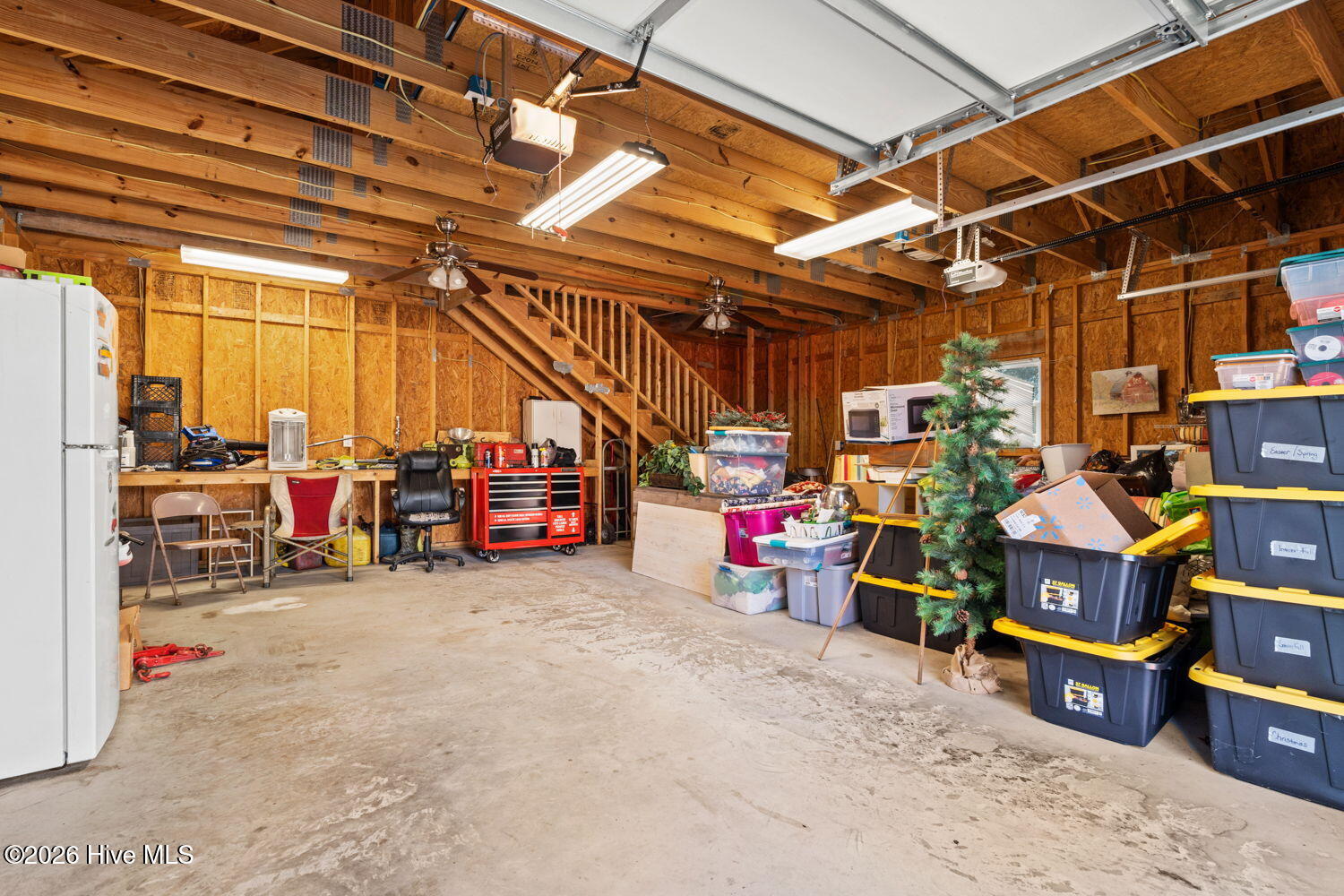 100562599 | Photo 20