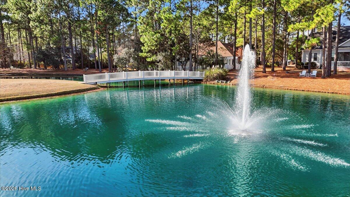 100548229 | Photo 46