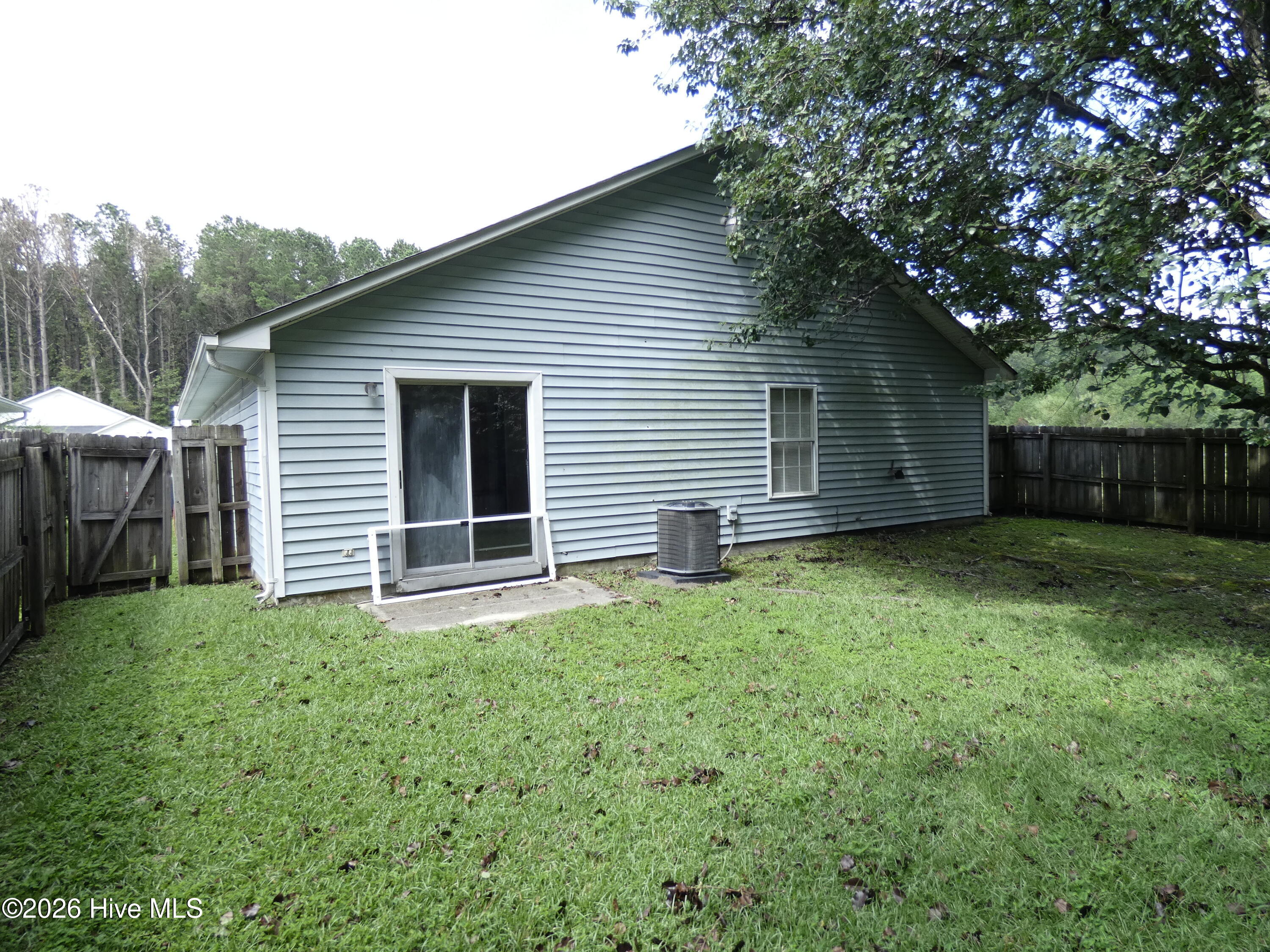 100564573 | Photo 18